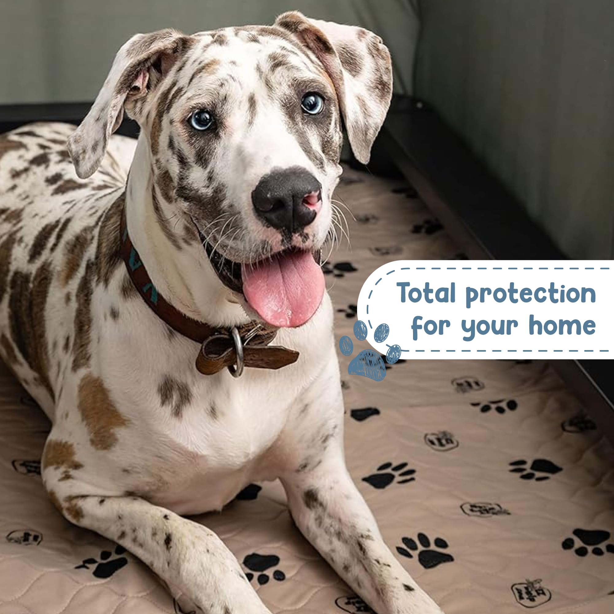 Ezwhelp Reusable Dog Pee Pads, Washable Waterproof Mats For Potty Training Or Whelping Pads, Puppy Pad With Rounded Corners, 16.5X19.5 Inch, 2 Pack