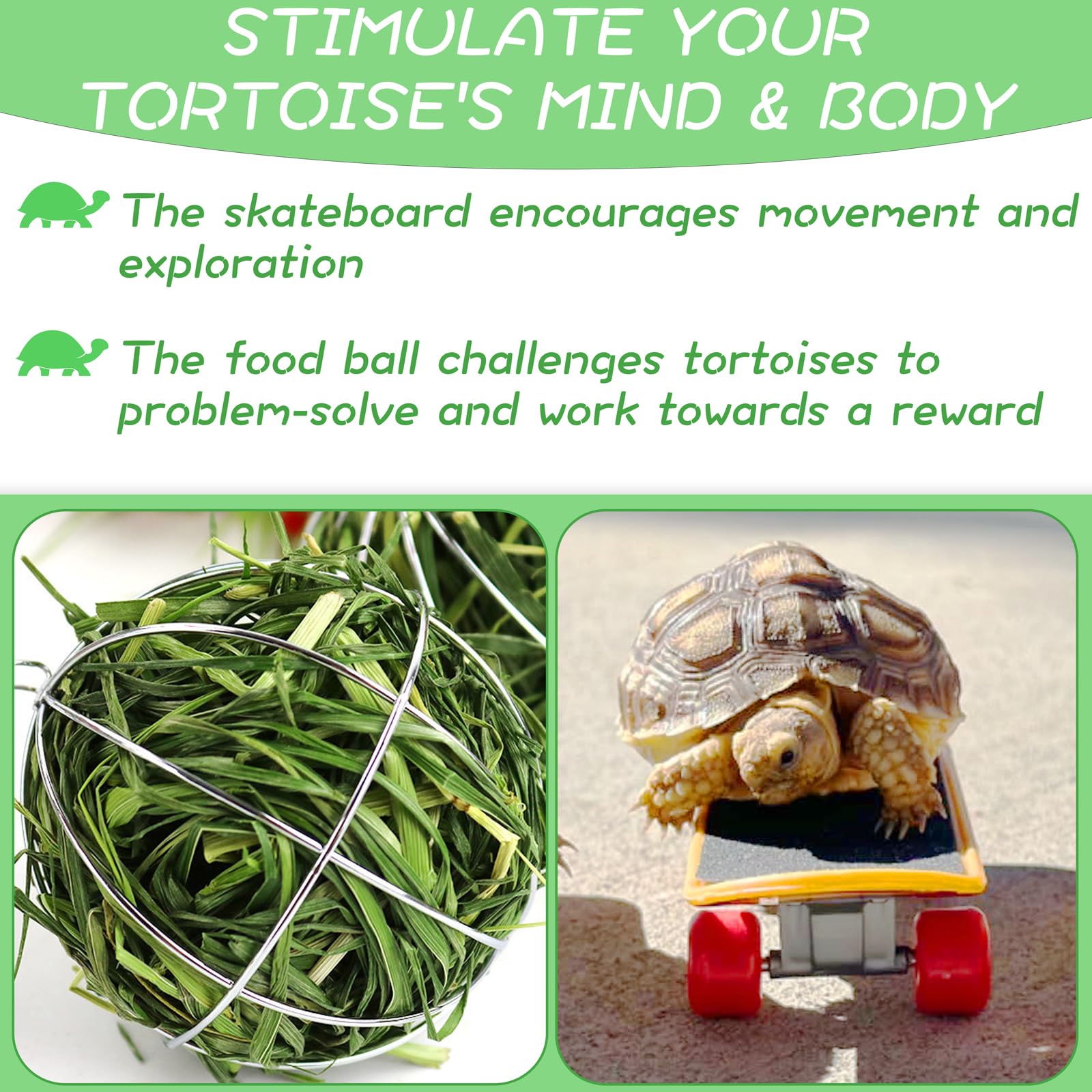 Niuohoy Tortoise Treat Ball And Mini Turtle Skateboard Set, Training Skateboard Toy & Tortoise Treat Ball Hanging Feeding Turtle