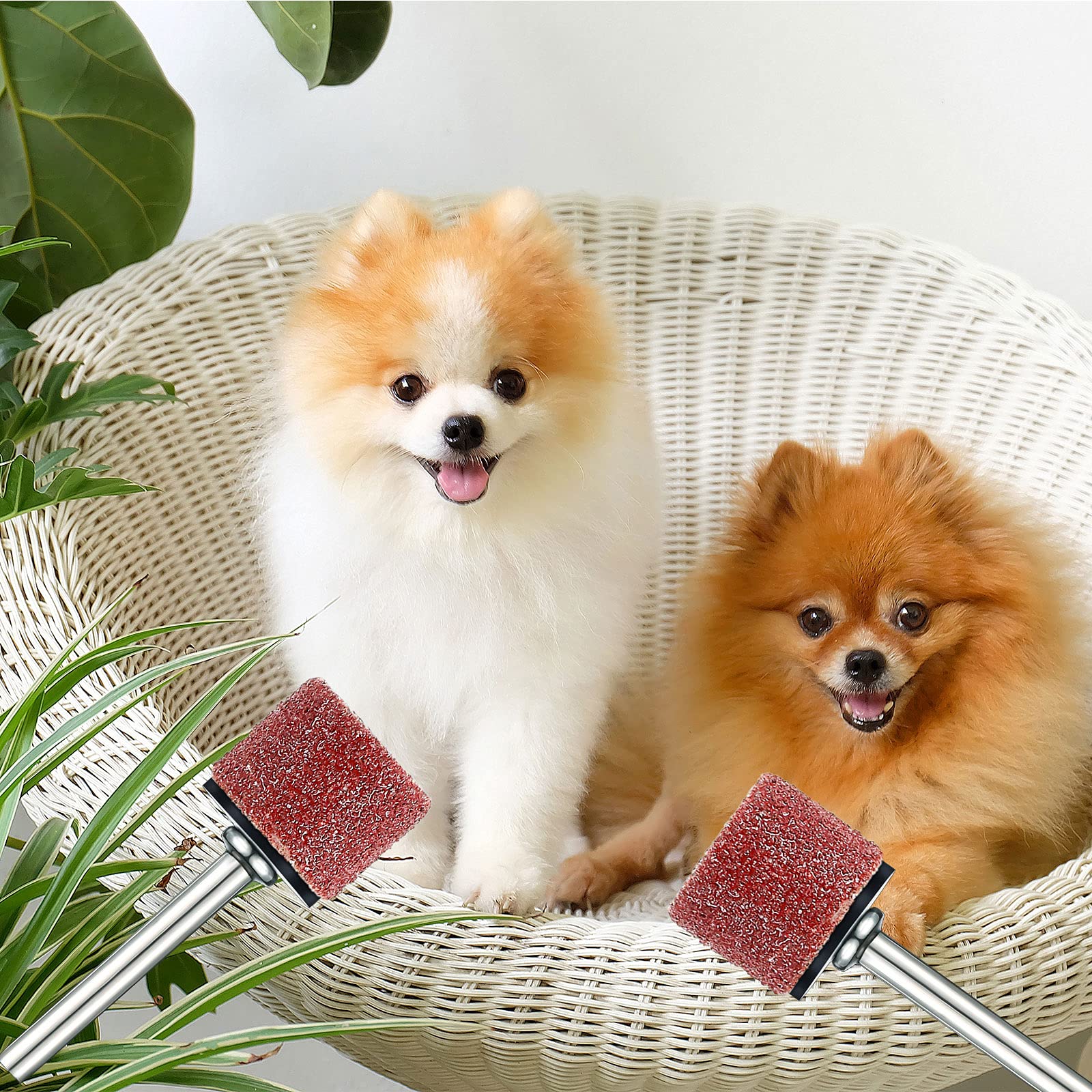 22 Pet Nail Grinder Replacement Kit With Grit Sanding Bands Pet Nail Smoother Dog Claw Care Black Grinding Drums Dog Nail Grinder Replacement Dog Claw Grooming Supplies (1/2 Inch 60 Grit And 100 Grit)