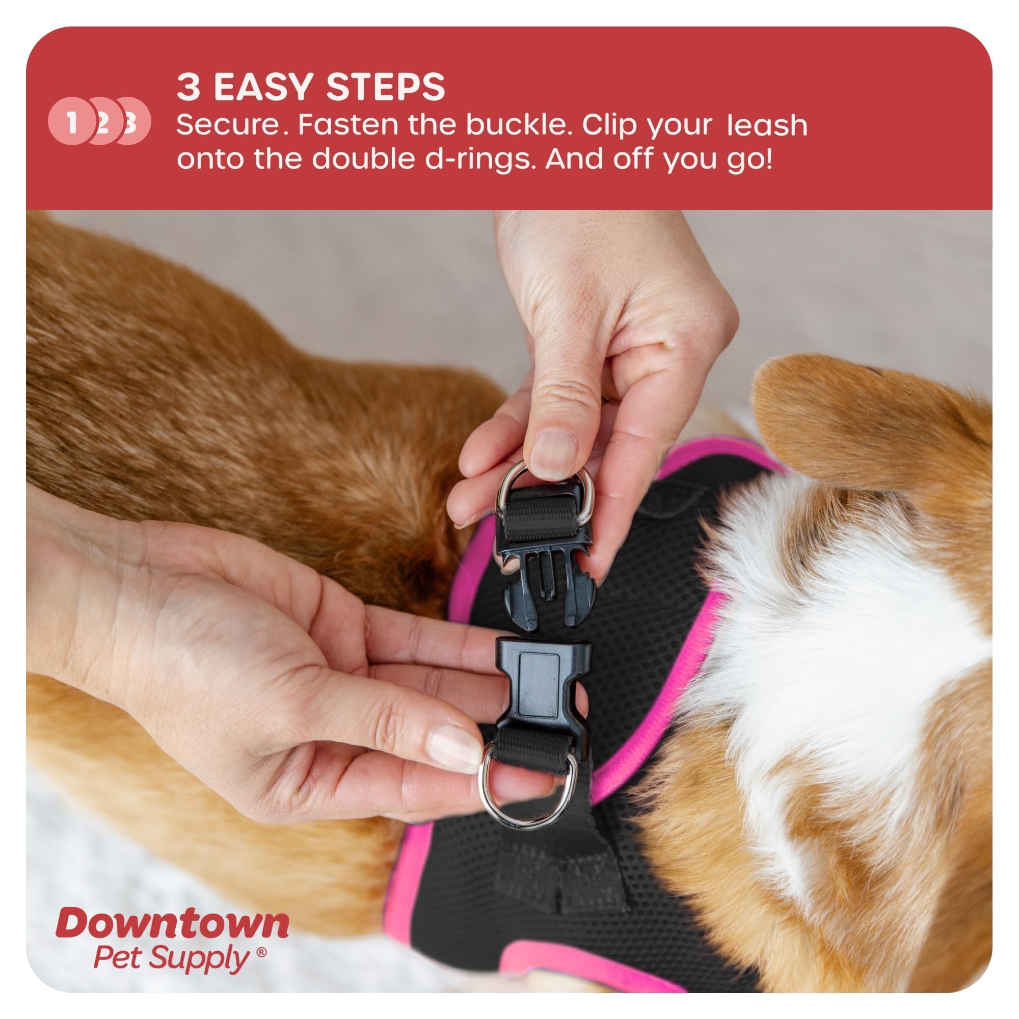 Downtown Pet Supply Step In Dog Harness For Small Dogs No Pull, Large, Black W/Pink Trim - Adjustable Harness With Padded Mesh F