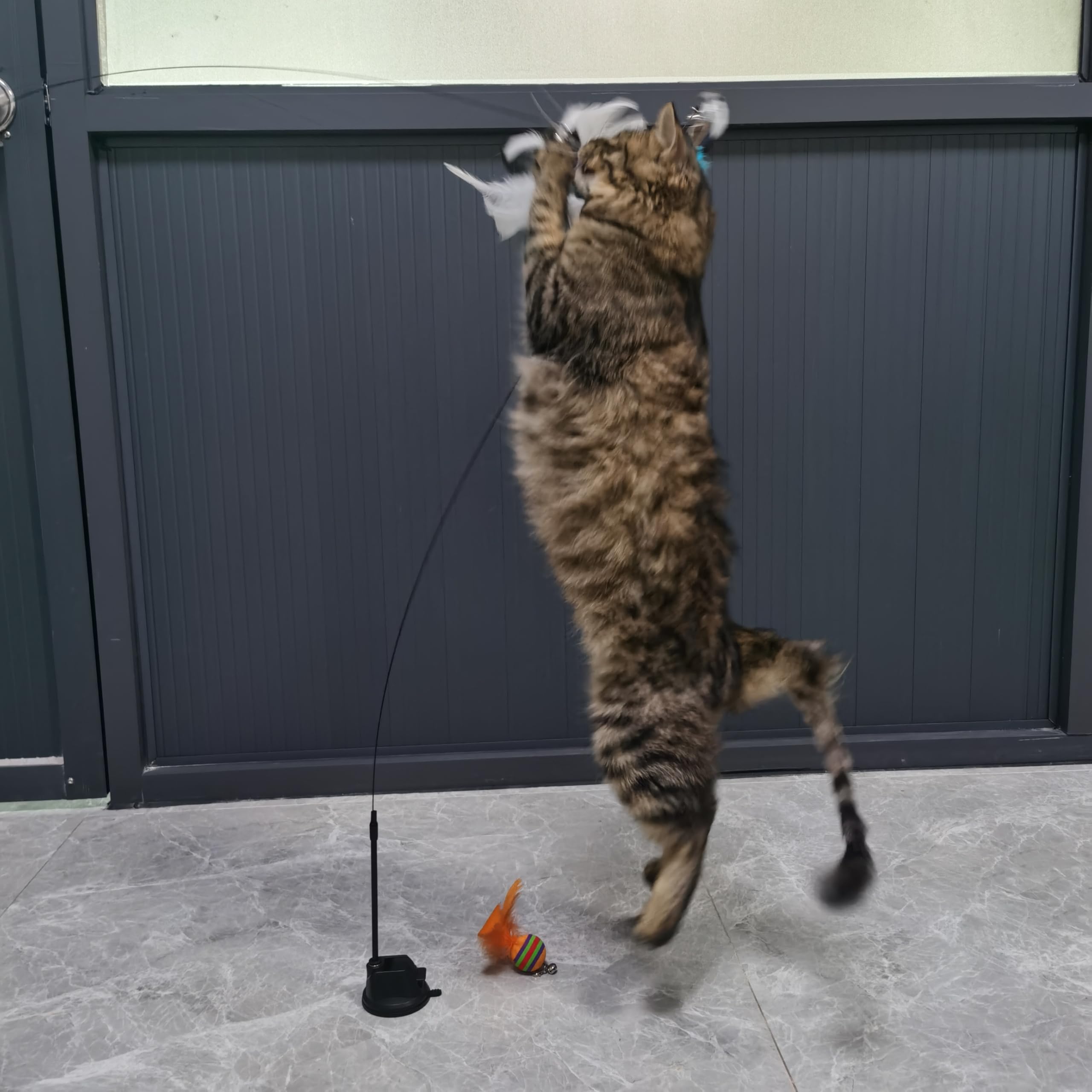 Benemall Interactive Cat Feather Toy - Super Suction Cup, 3 Replaceable Feathers, Bell & Spring Wand - Fun for Indoor Cats (Fly Bird Blue)