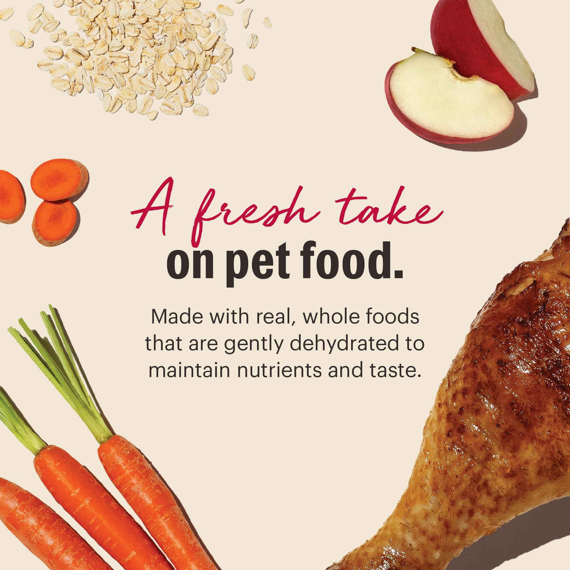 The Honest Kitchen Dehydrated Whole Grain Turkey Dog Food, 7 lb Box