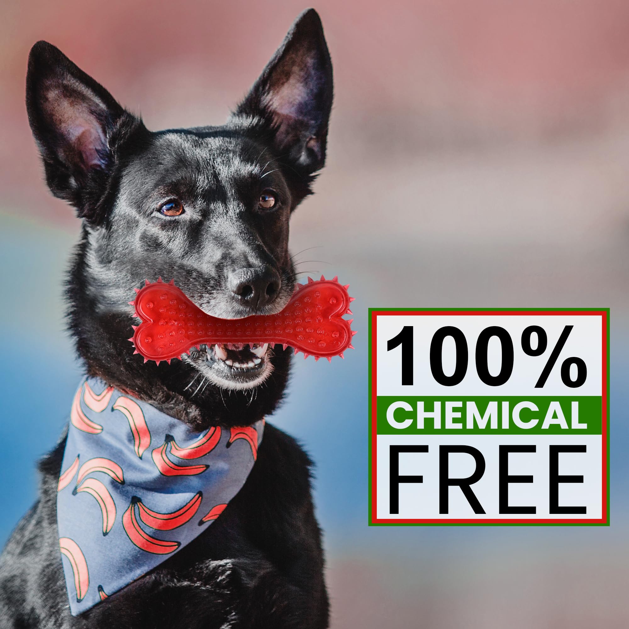 POLKA Rubber Spike Dog Bone Toy  Durable Chew Toy for Dogs  Textured for Teeth Cleaning & Gum Massage  Safe, NonToxic, and F