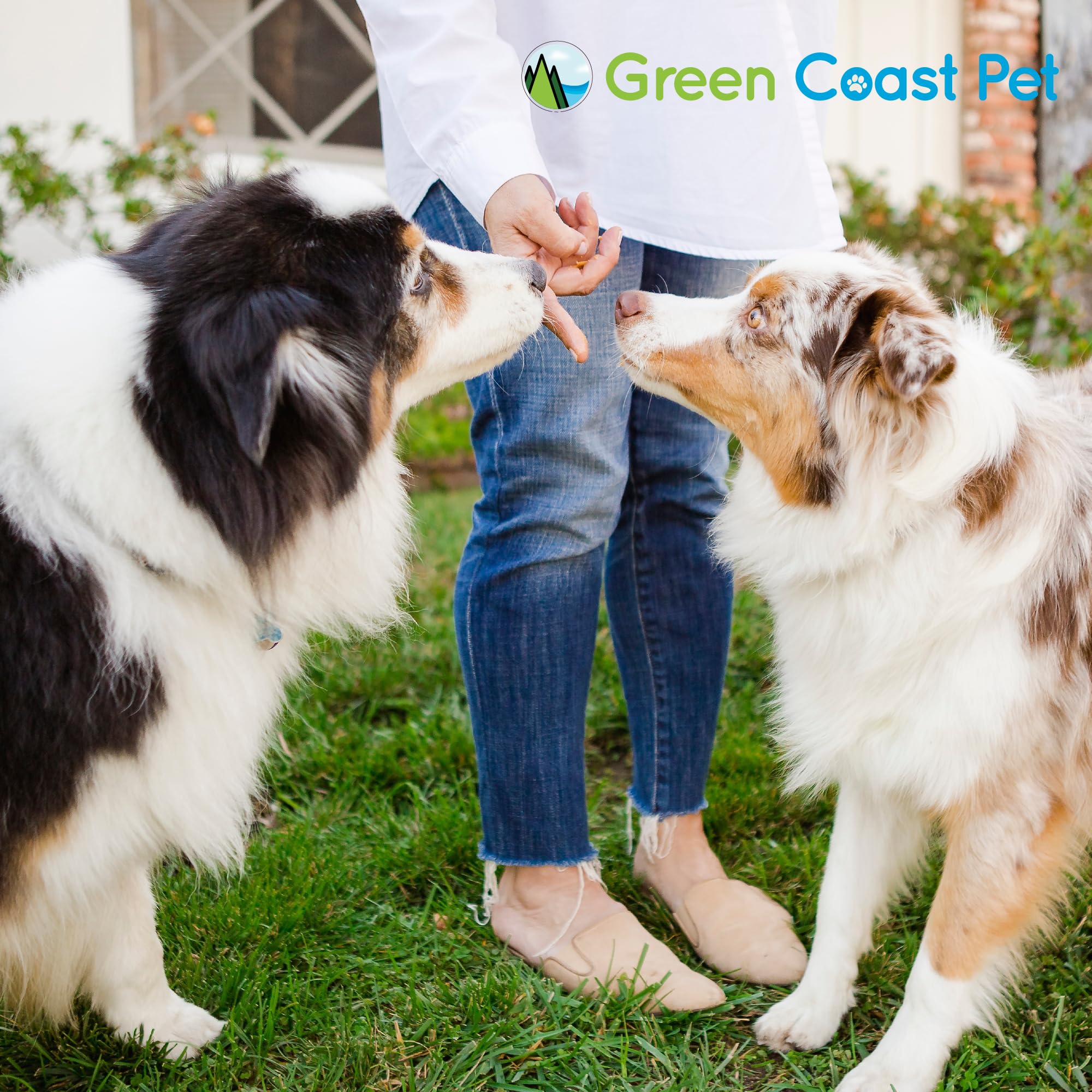 Green Coast Pet Natural Peanut Butter for Dogs Safe - 100% Healthy Dog Treats - No Sugar, Xylitol Free, Digestive Support - Pupp