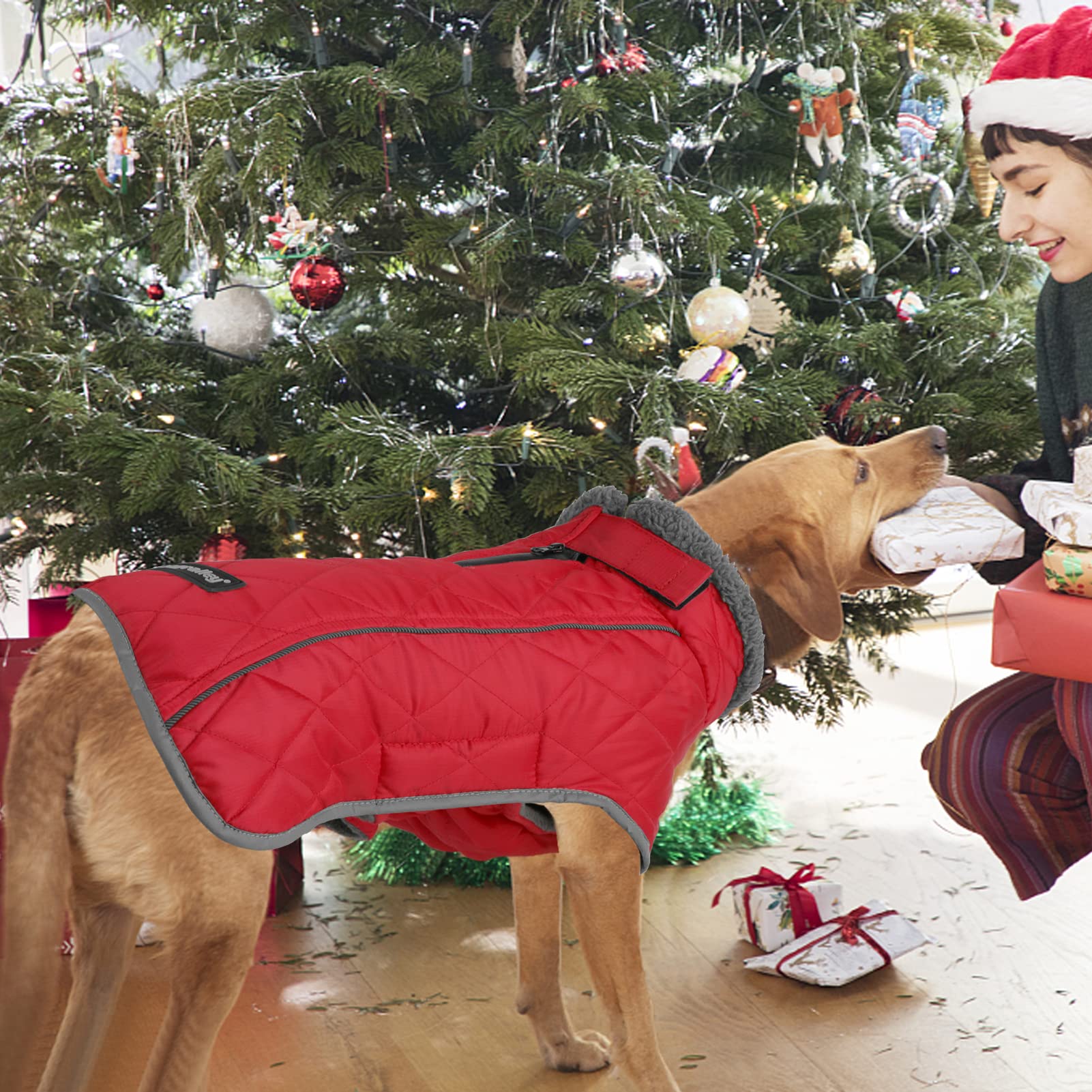 Fragralley Winter Coat - Windproof, Adjustable Dog Jacket, Waterproof, Turtleneck Clothes Doggie Cold Weather Vest Fleece (Red,