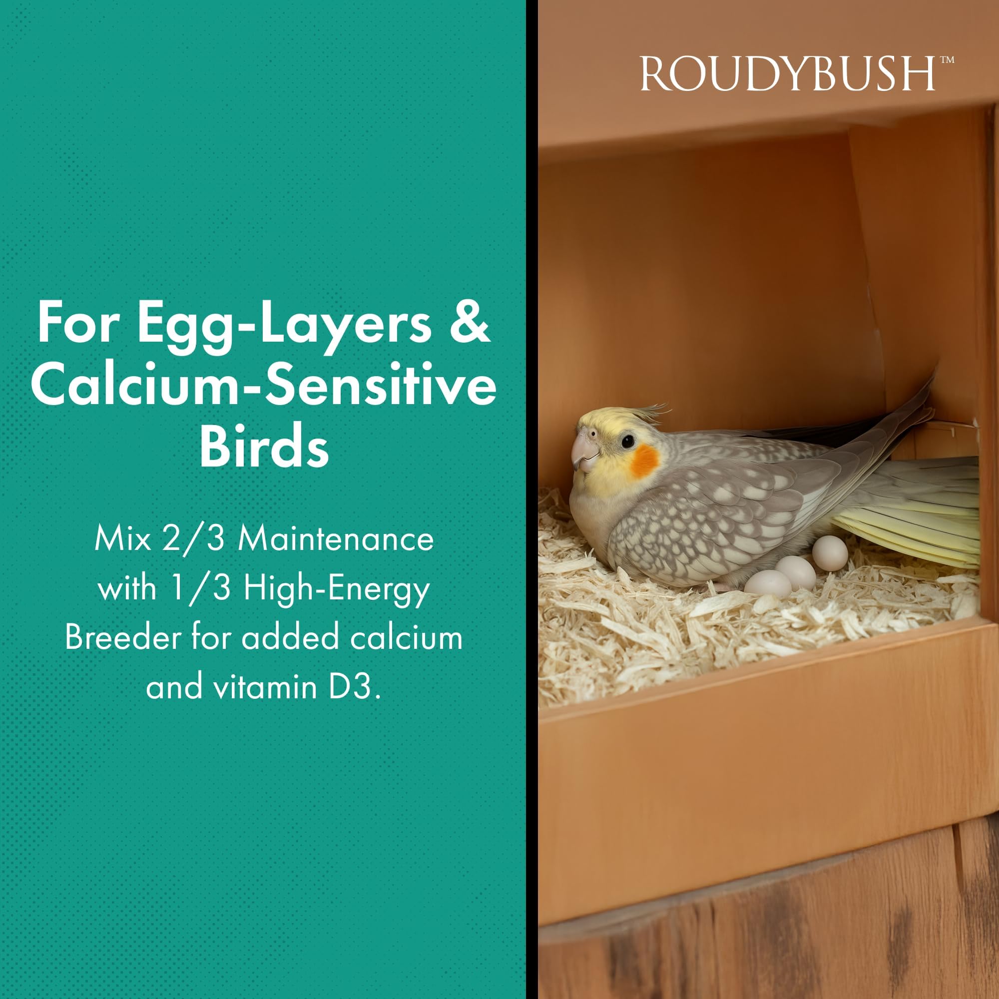 RoudyBush Daily Maintenance Bird Food, Medium, 10-Pound (Packaging May Vary)