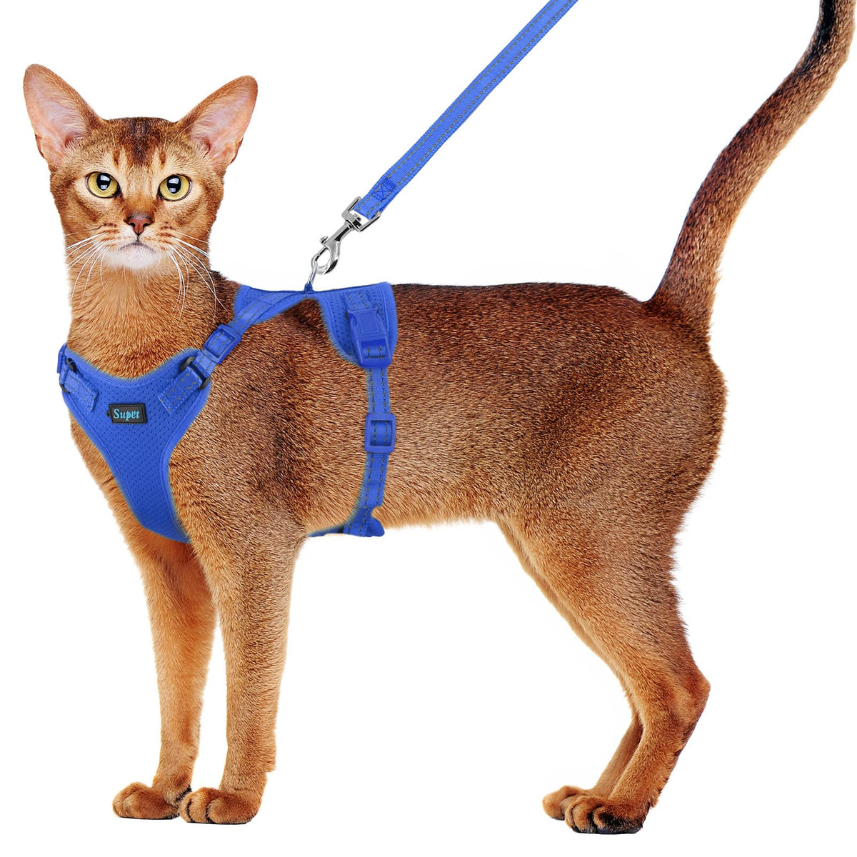 Supet Cat Harness And Leash Set For Small To Large Cats Adjustable Cat Vest Harness With Reflective Trim Universal Cat Leash And Harness For Cats/Puppies (Blue, Small (Chest: 13.7' - 15.7'))