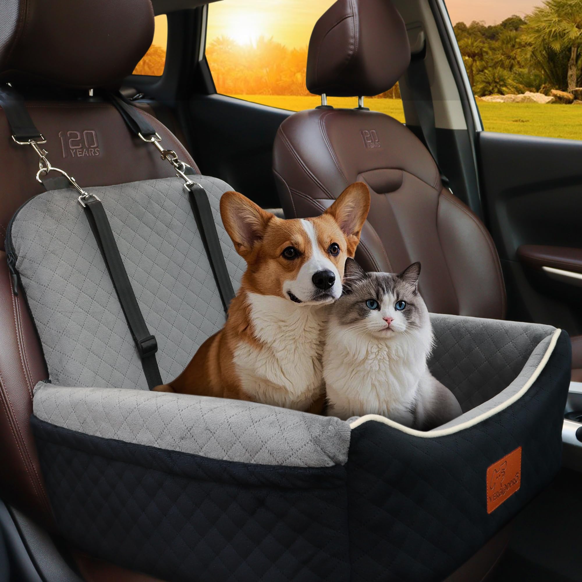 Dog Car Seat Bed 2 in 1 for Small/Medium Dogs up to 35 lbs,Adjustable Safety Leashes,Memory Foam with Soft Fabric Pets Travel Ca