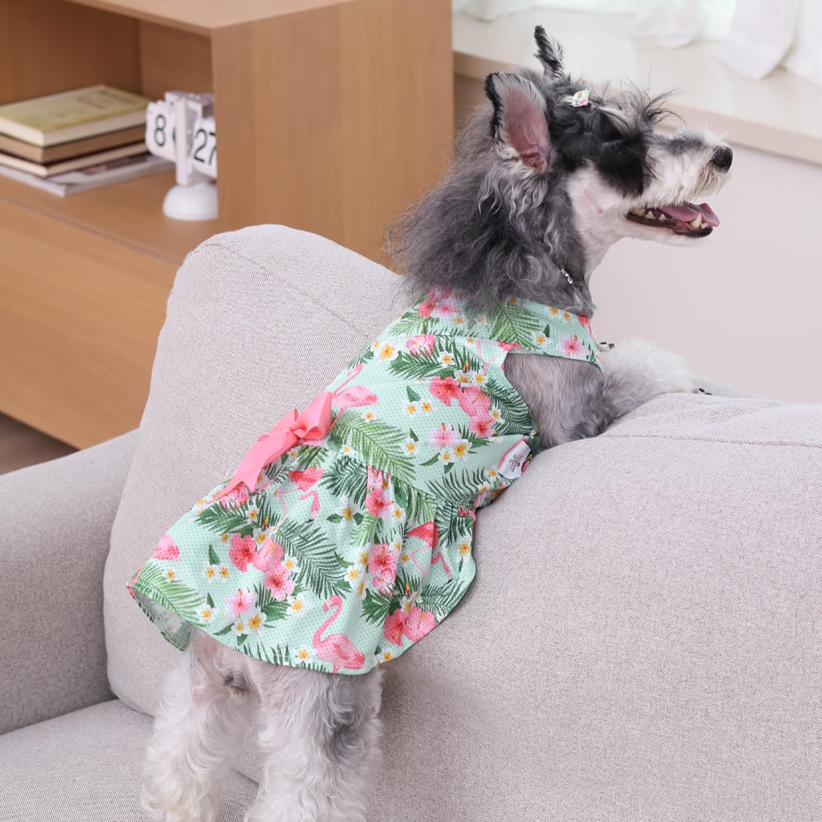 Cutebone Dog Mesh Dress Puppy Sundress Pet Outfit Summer Fashion For Small Dogs Girl Cat Clothes Bf34S