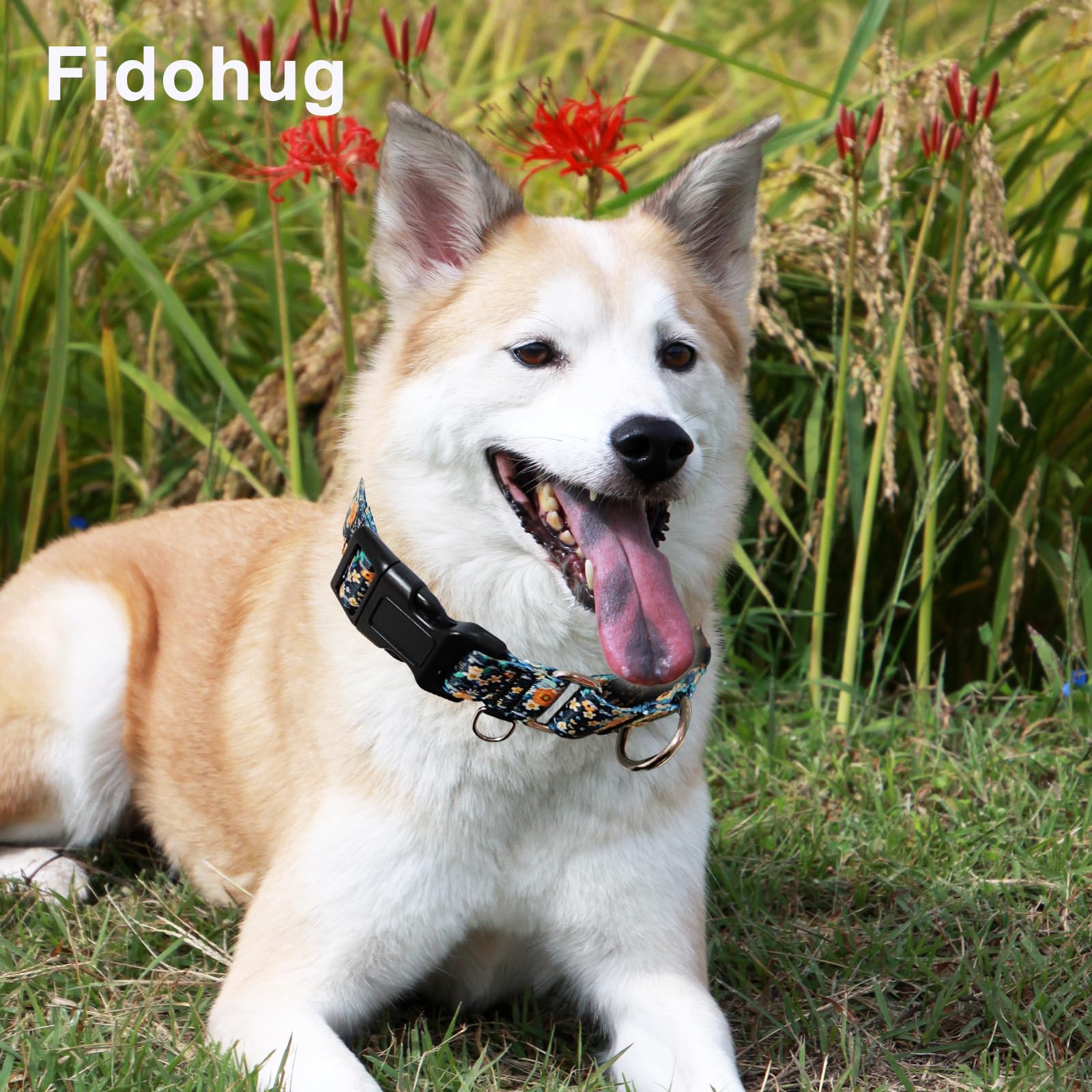 Fidohug Reflective Martingale Dog Collar With Buckle Soft Nylon Floral No Slip Dog Collars For Medium Dogs (Black Orange Flowers