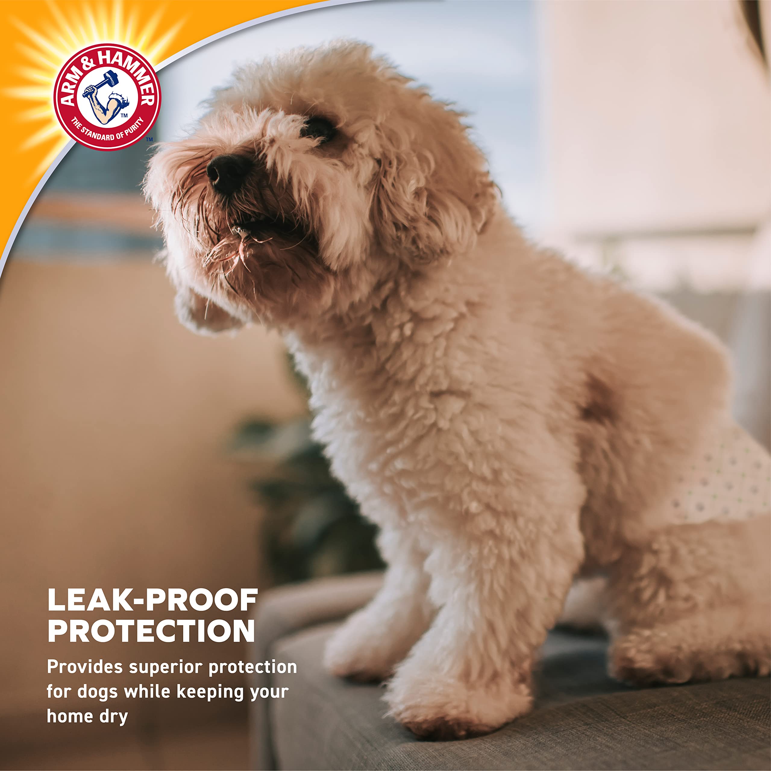 Arm & Hammer For Pets Female Dog Diapers, Size Medium, 12 Count | Ultra-Absorbent, Adjustable Girl Dog Diapers with Leak-Proof P