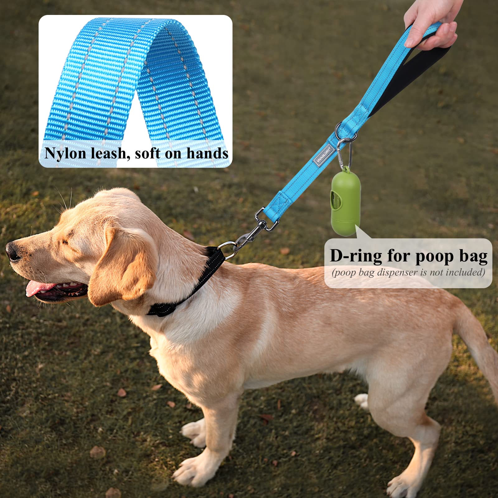 Vivaglory Short Dog Leash For Medium & Large Dogs, 18Inch, Lake Blue