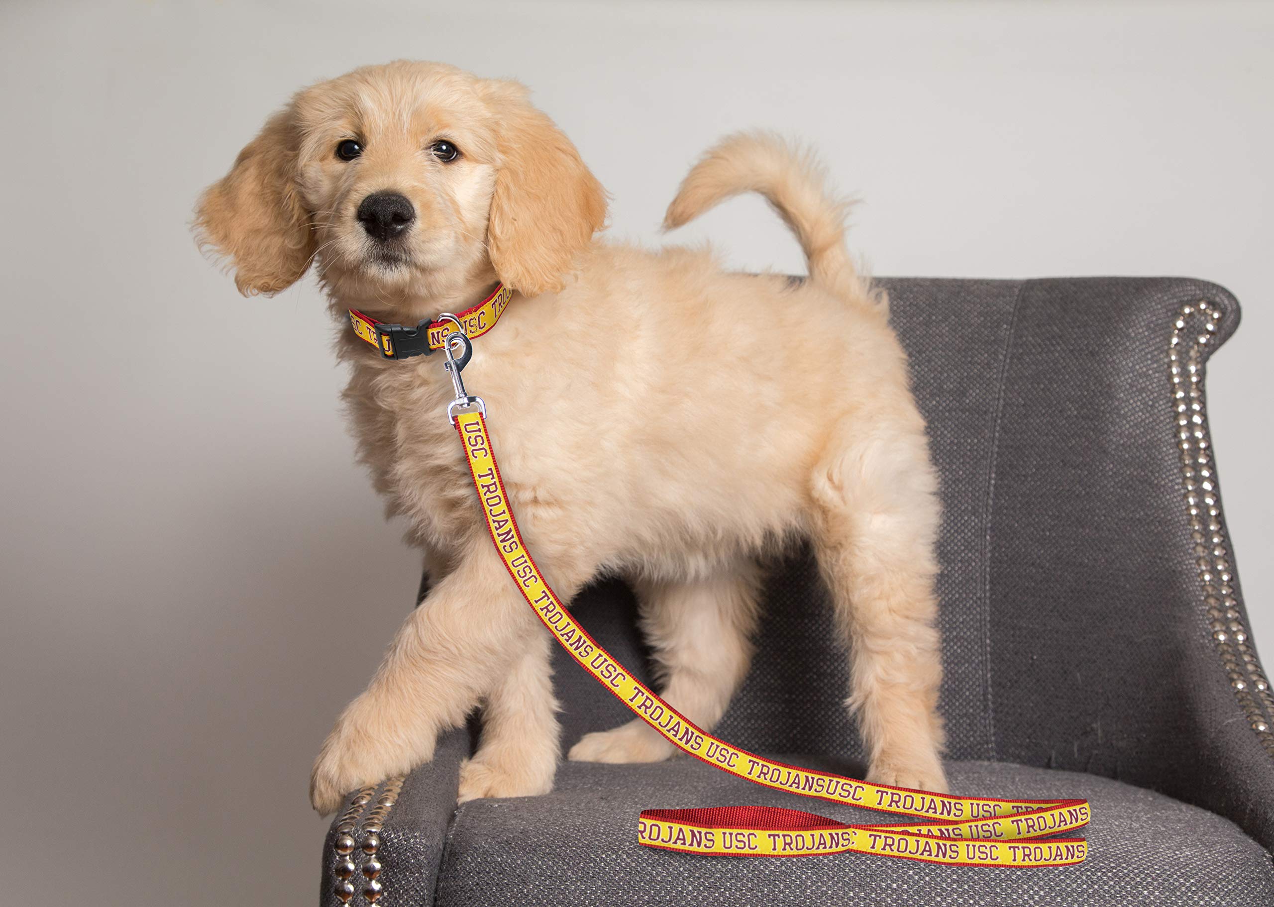 Ncaa Pet Leash, Large, Usc Trojans, Shiny & Colorful Leash For Dogs & Cats Licensed By The Ncaa