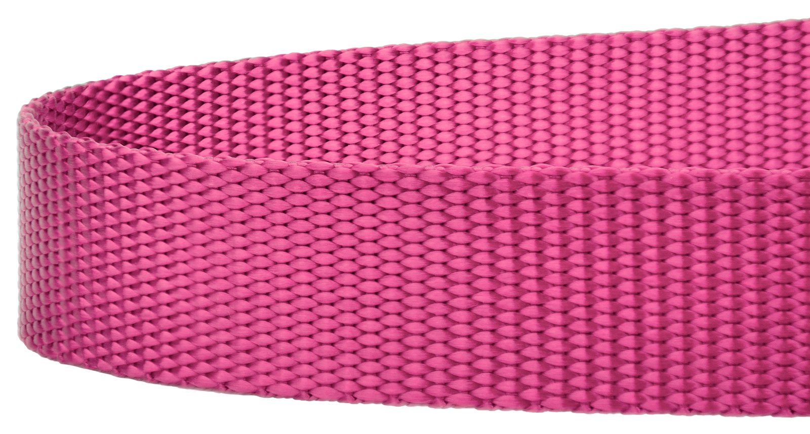 Country Brook Petz - 1 Inch Solid Color Nylon Dog Leash - Durable Clip - Soft Handle (1 Inch Wide, 6 Foot, Rose)
