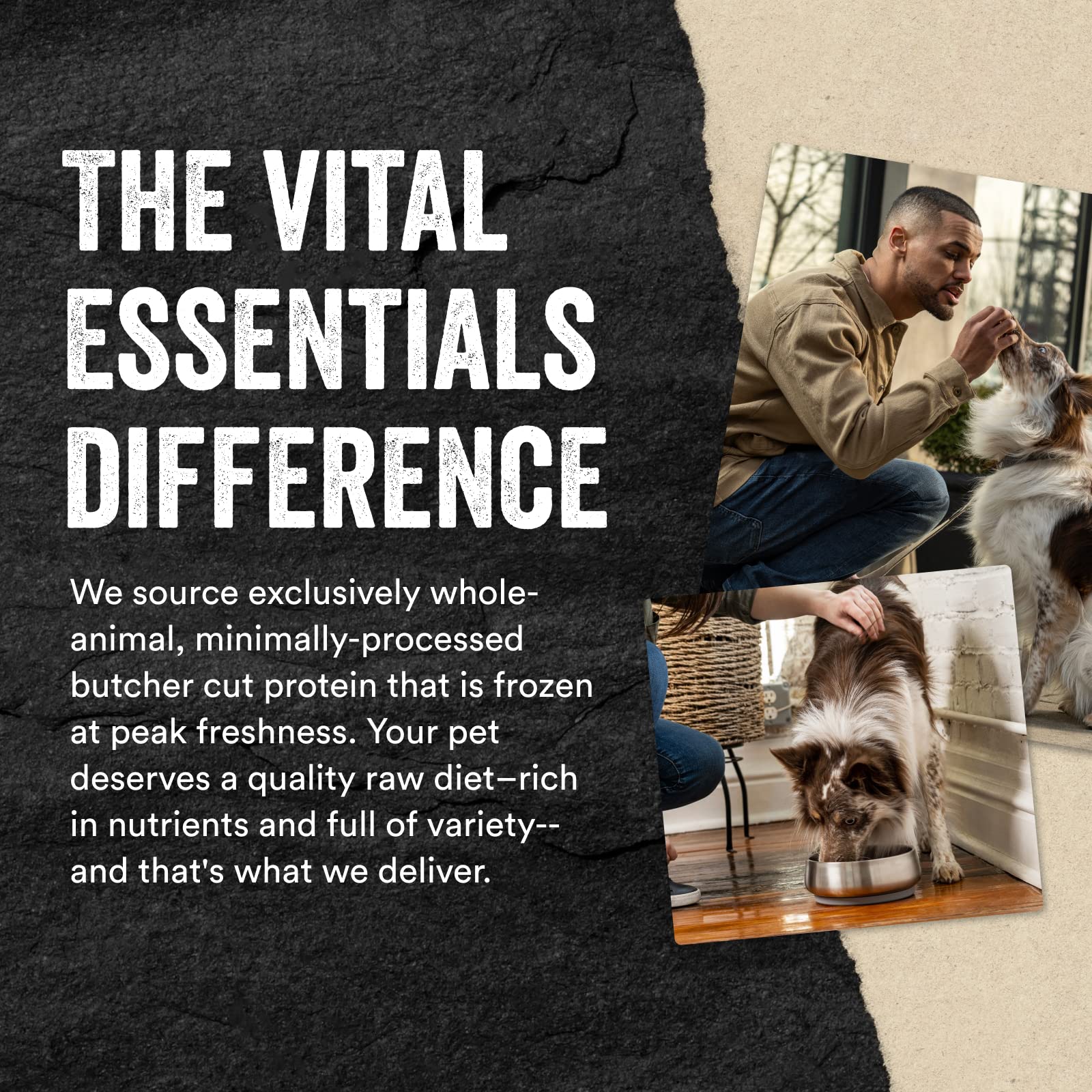 Vital Essentials Bully Sticks Dog Treats, 1.4 oz | Freeze-Dried Raw | Single Ingredient | Premium Quality High Protein Training