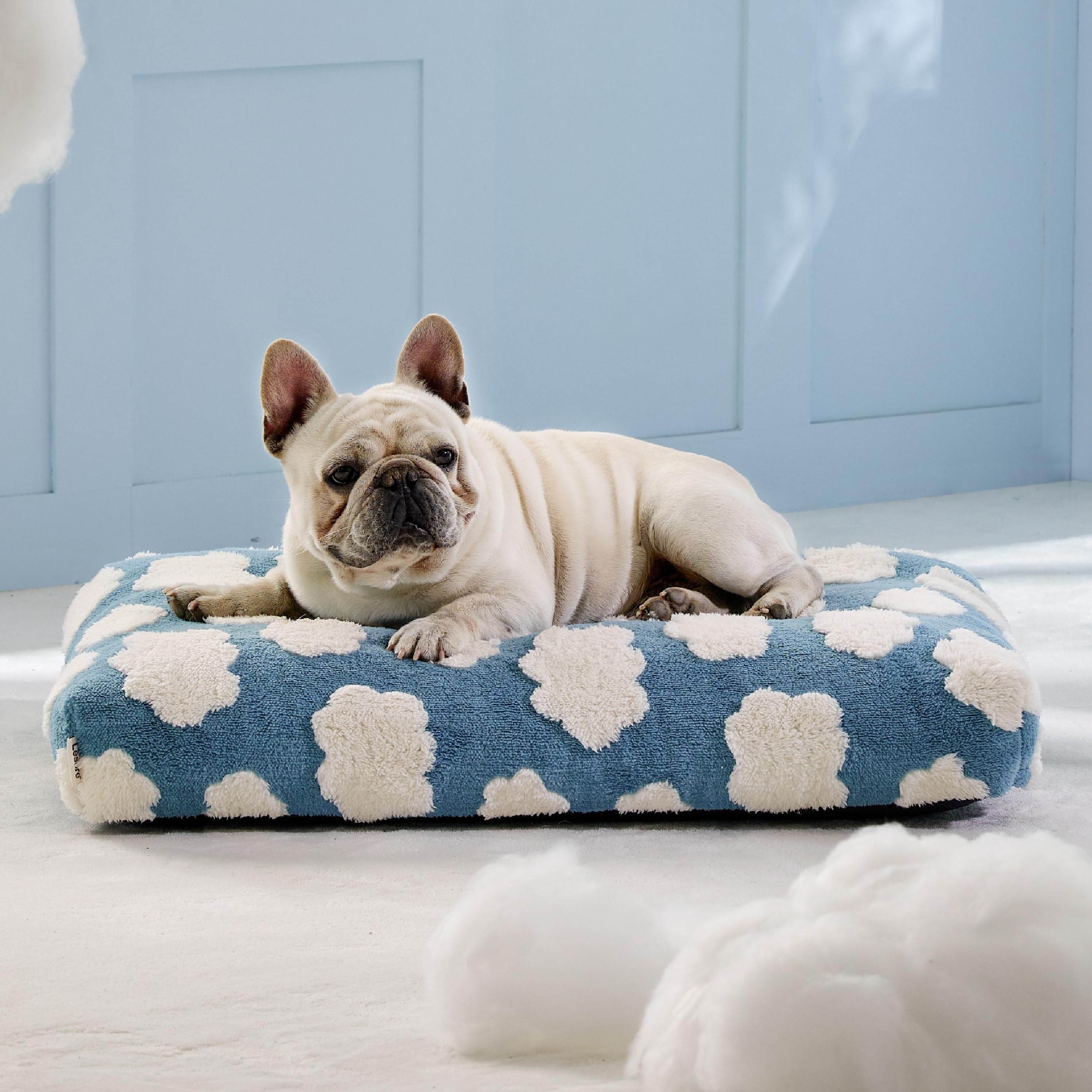 Lesure Cute Dog Beds Medium Size Dog-Thick Shredded Chopped Foam Pet Bed Indoor With Removable Washable Cover, Modern Fuzzy Plus