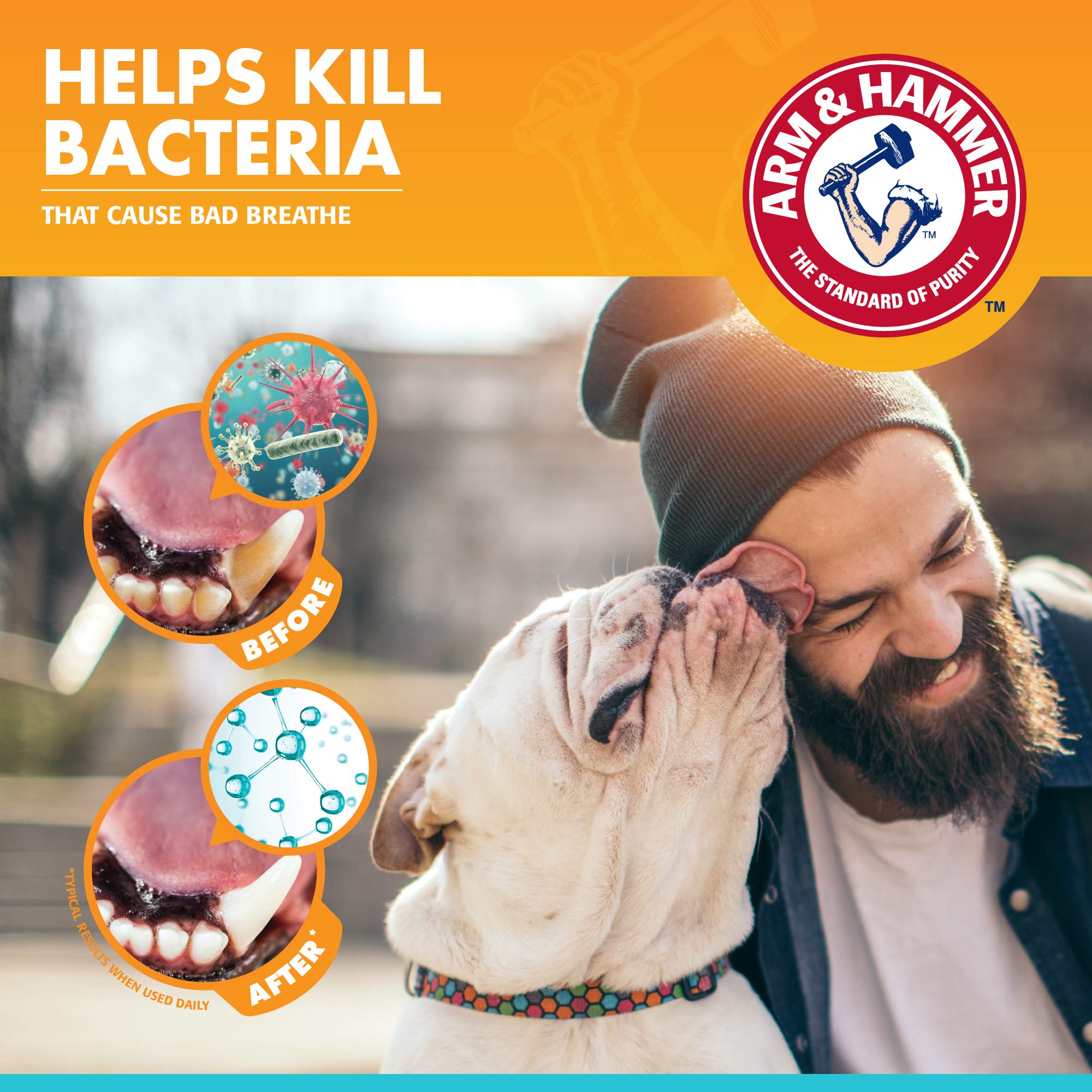 Arm & Hammer for Pets Clinical Care Dental Enzymatic Toothpaste for Dogs Soothes Inflamed Gums Safe for Puppies 1 Pack Fresh Bre