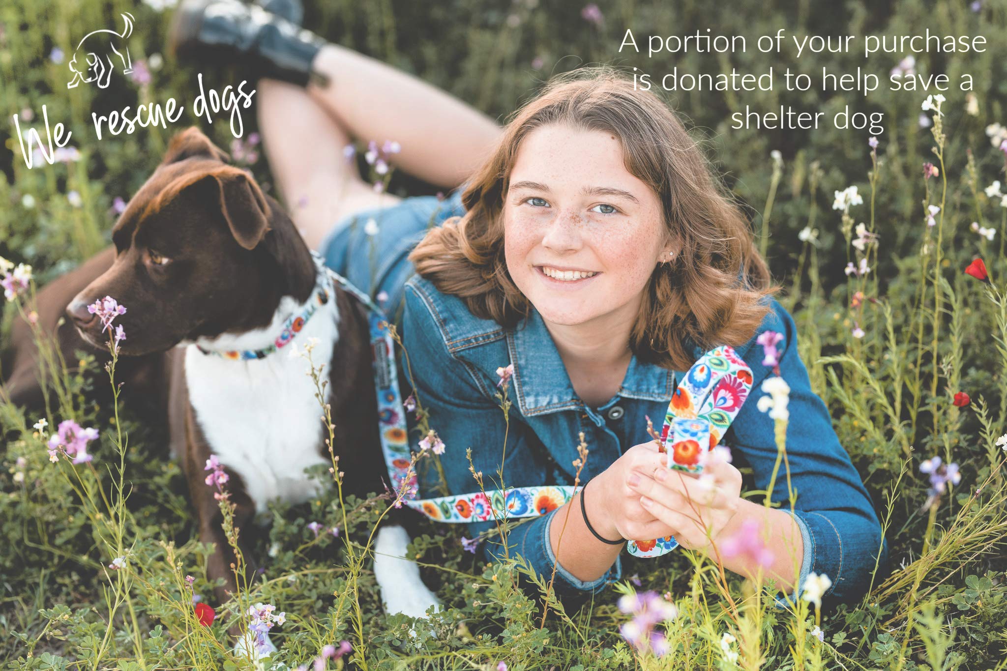 Lucky Love Dog Combo Set | Floral Dog Collar And Leash Set For Large Dogs | Cute Girl Matching Collar & Leash Set | Part Of Purchase Donated To Rescue (Ladybird Collar/Leash Combo, Large)