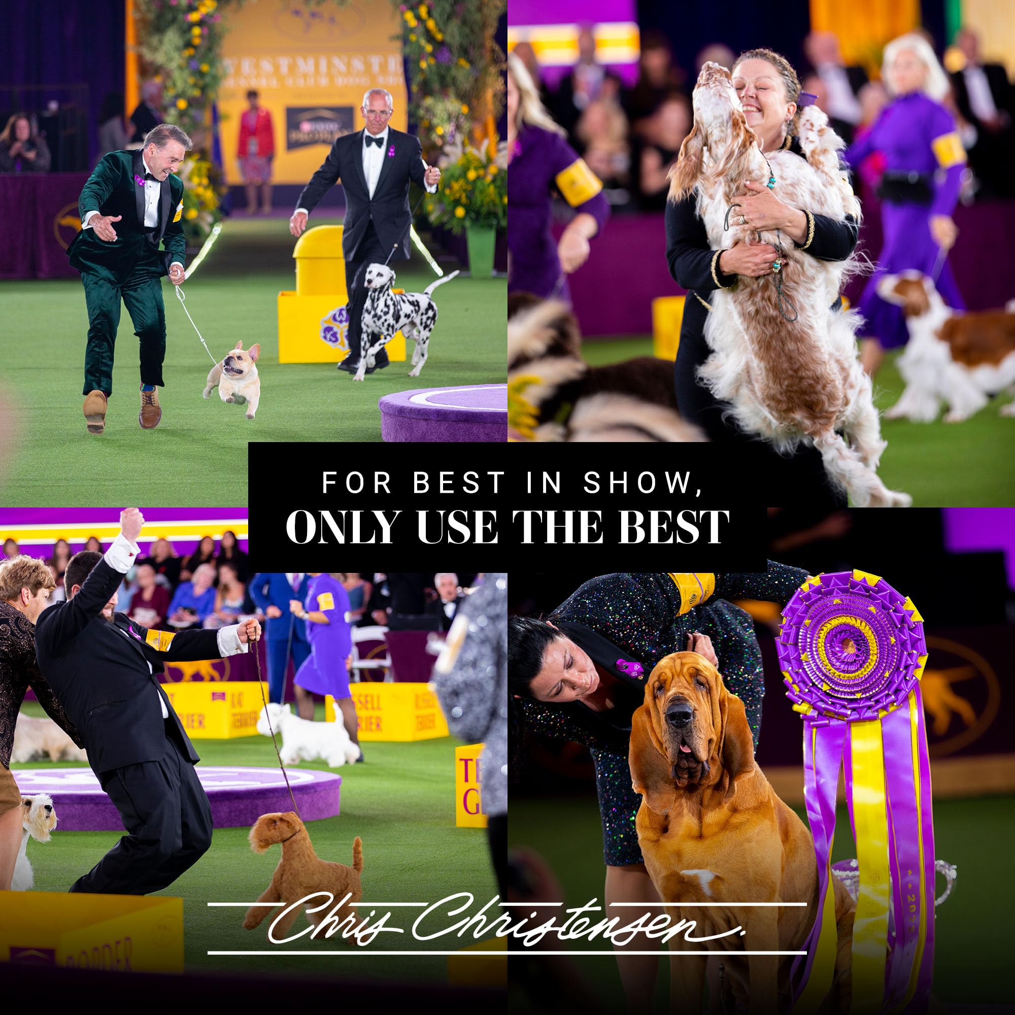 Chris Christensen Spectrum Ten Dog Shampoo, Groom Like A Professional, Gentle Cleansing, Gorgeous Shine, Made In Usa, 473Ml