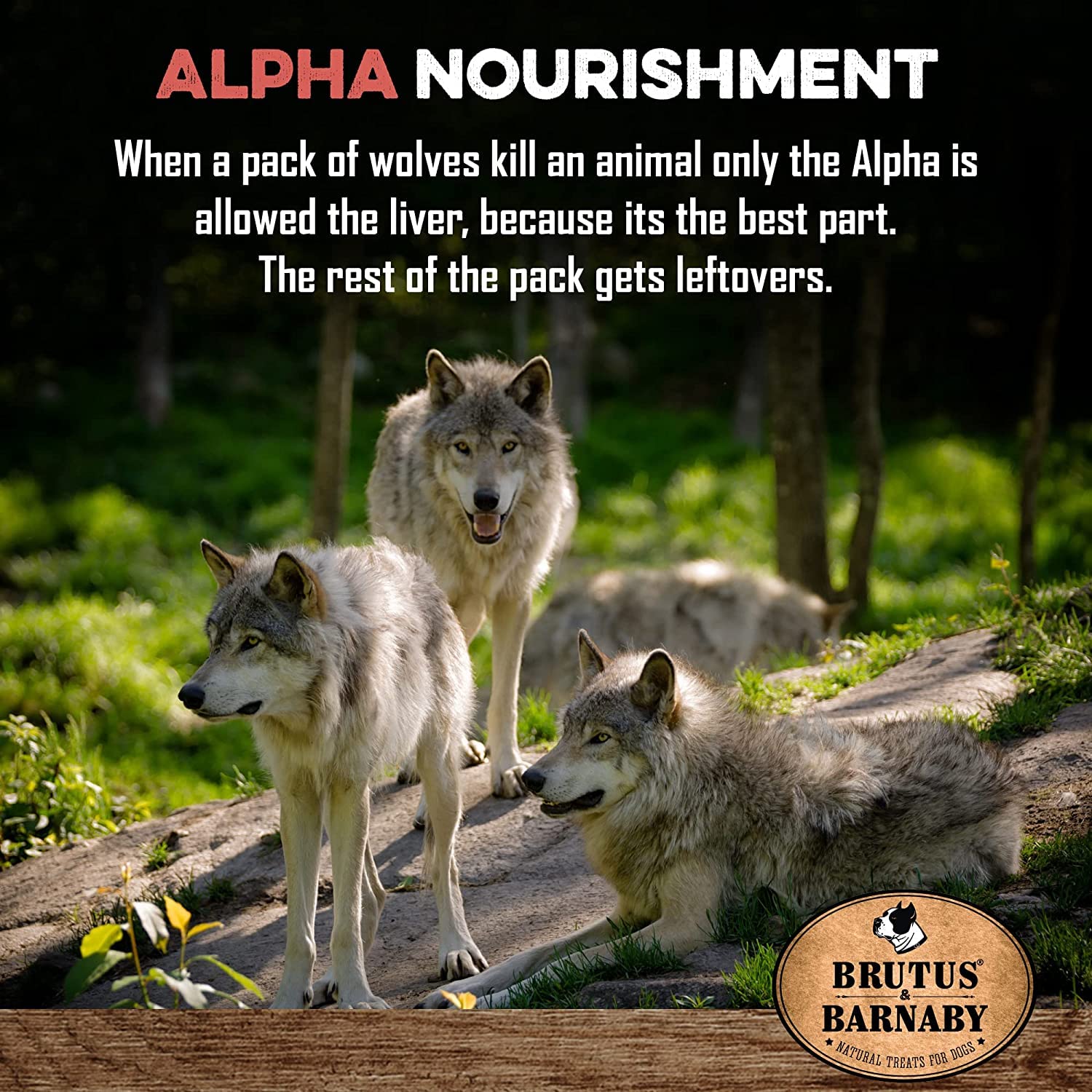 BRUTUS & BARNABY Dog Food Topper - Beef Liver - Enhance Your Dogs Meal with This Flavor Packed Mix - Sprinkle On Dog Food Flavor