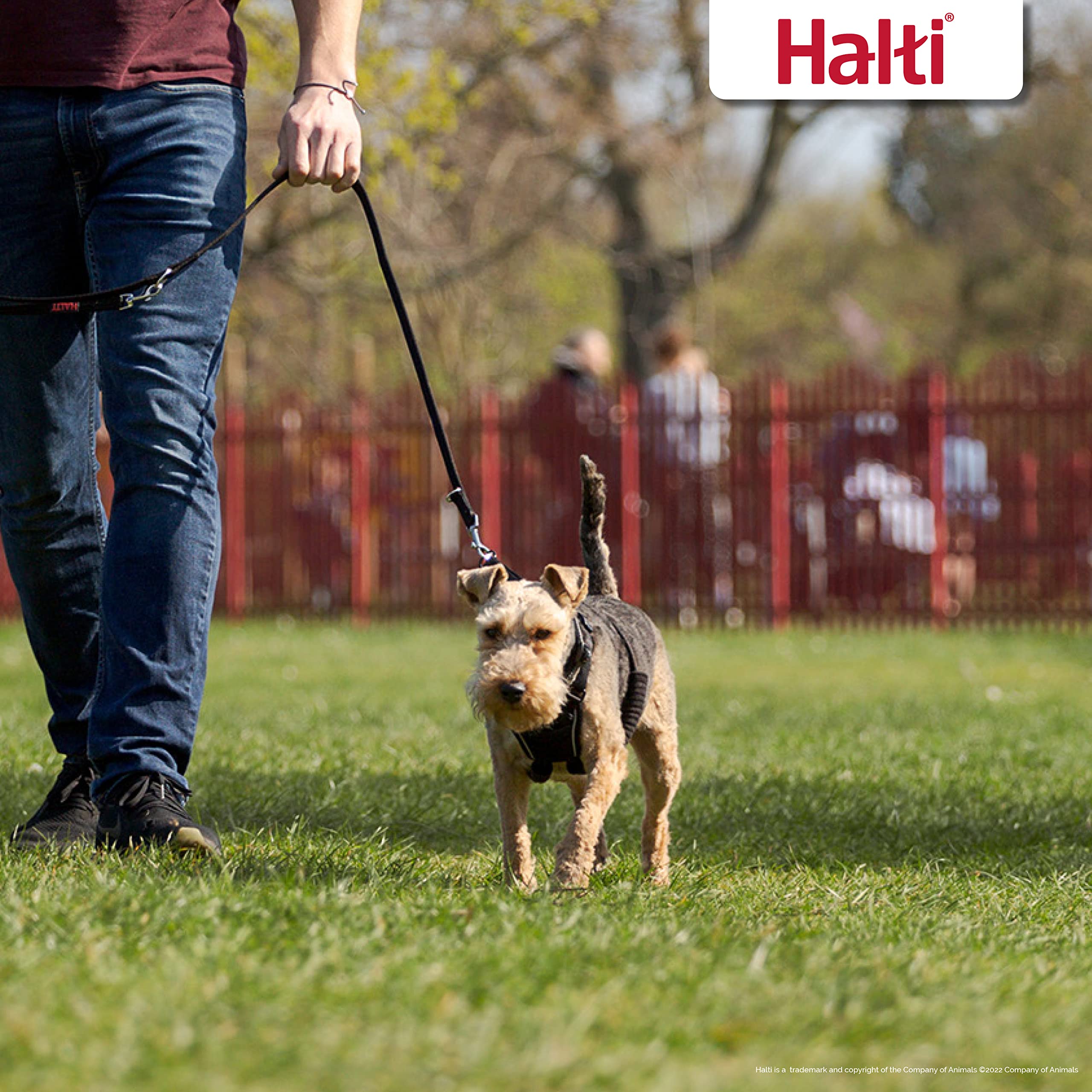 Halti No Pull Harness - To Stop Your Dog Pulling On The Leash. Adjustable, Lightweight And Easy To Use. Reflective Dog Training Harness For Small Dogs (Size S)
