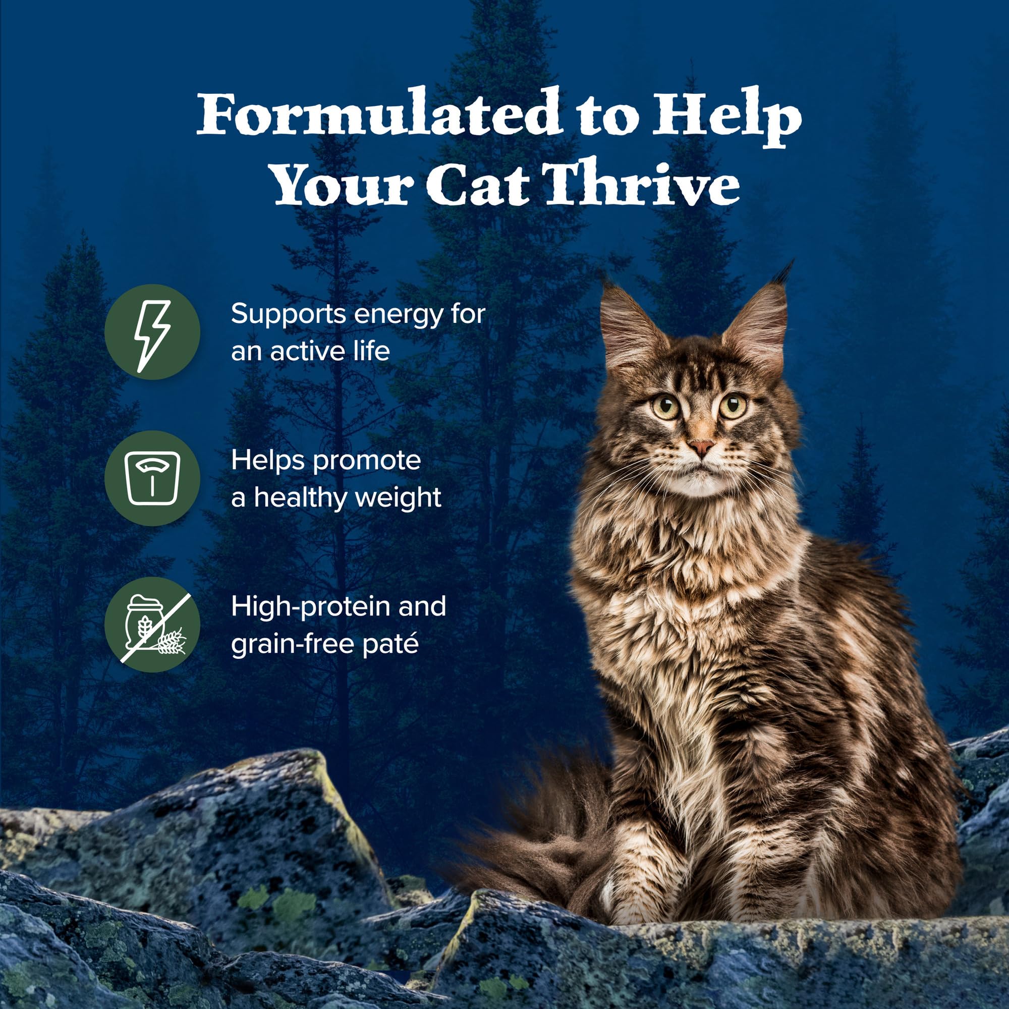 Blue Buffalo Wilderness Natural High-Protein Grain-Free Wet Food for Adult Cats, Duck Pat  , 3-oz. Cans, 24 Count
