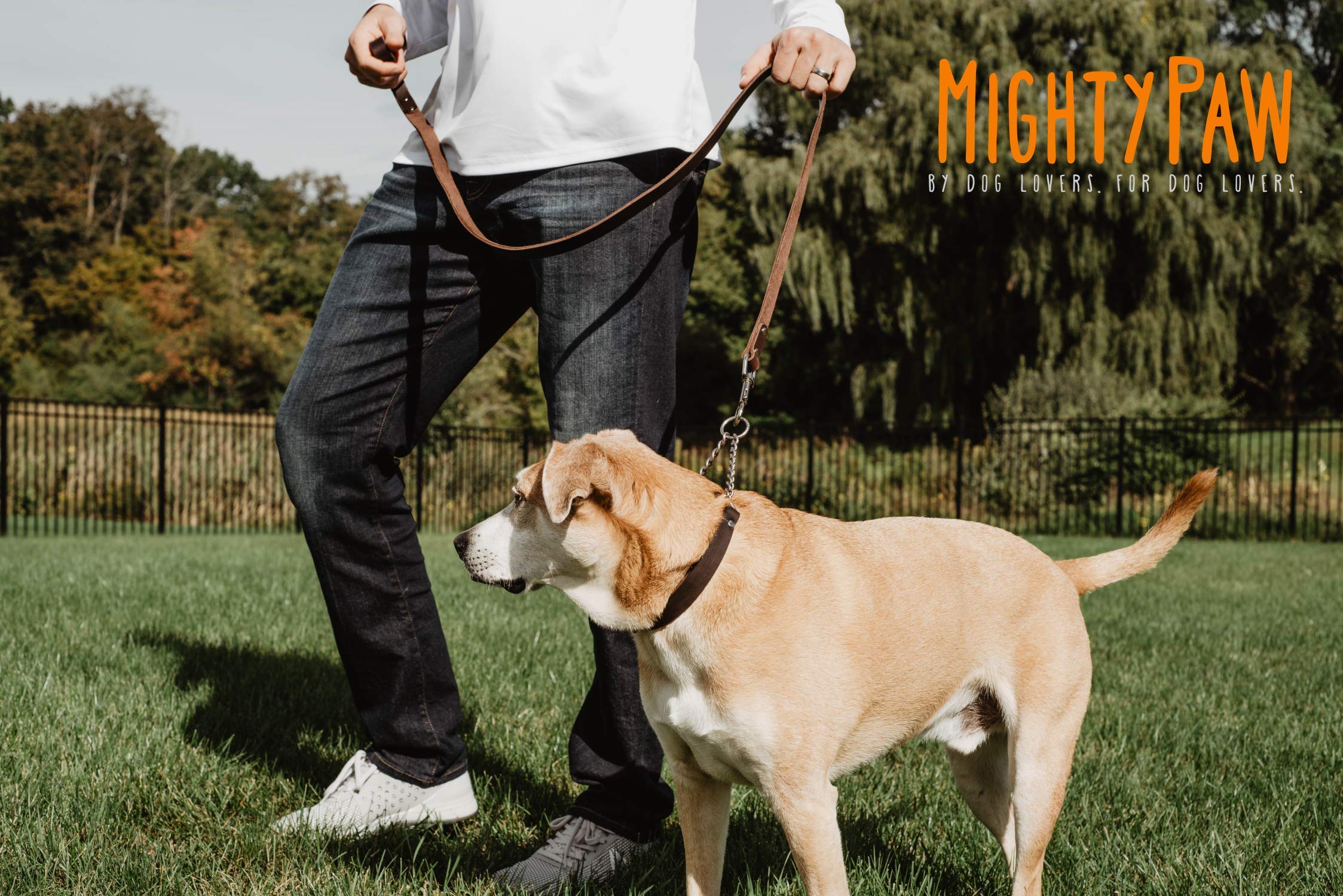 Mighty Paw Martingale Dog Collar - No Pull, Brown Leather, Medium Size, Stainless Steel Chain