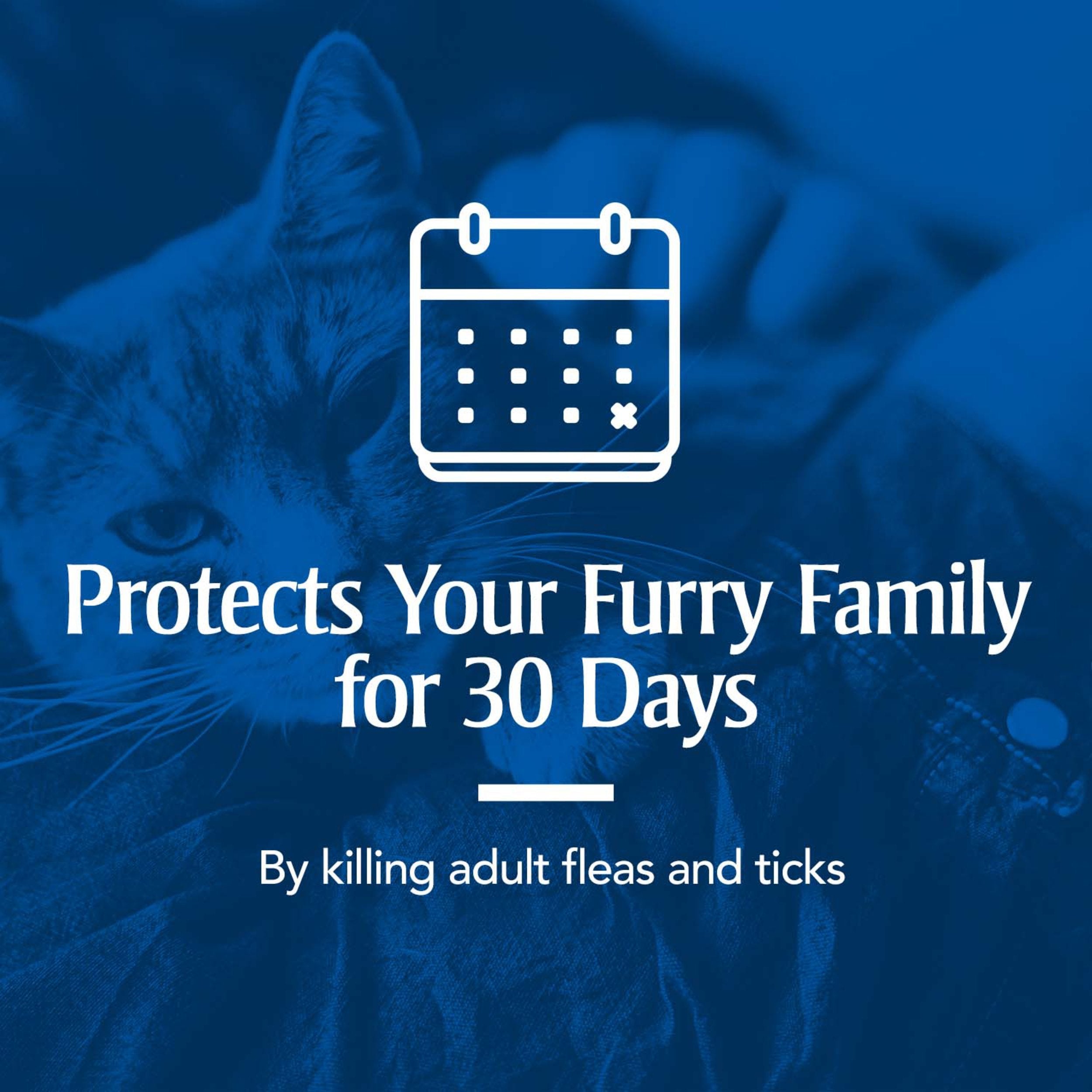 Petarmor For Cats, Flea & Tick Treatment For Cats (Over 1.5 Pounds), Includes 3 Month Supply Of Topical Flea Treatments