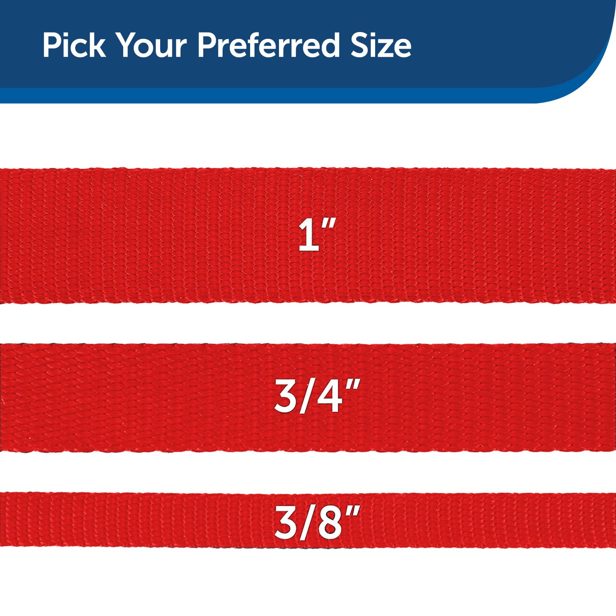 Petsafe Nylon Dog Leash - Strong, Durable, Traditional Style Leash With Easy To Use Bolt Snap - 3/8 In. X 6 Ft., Red