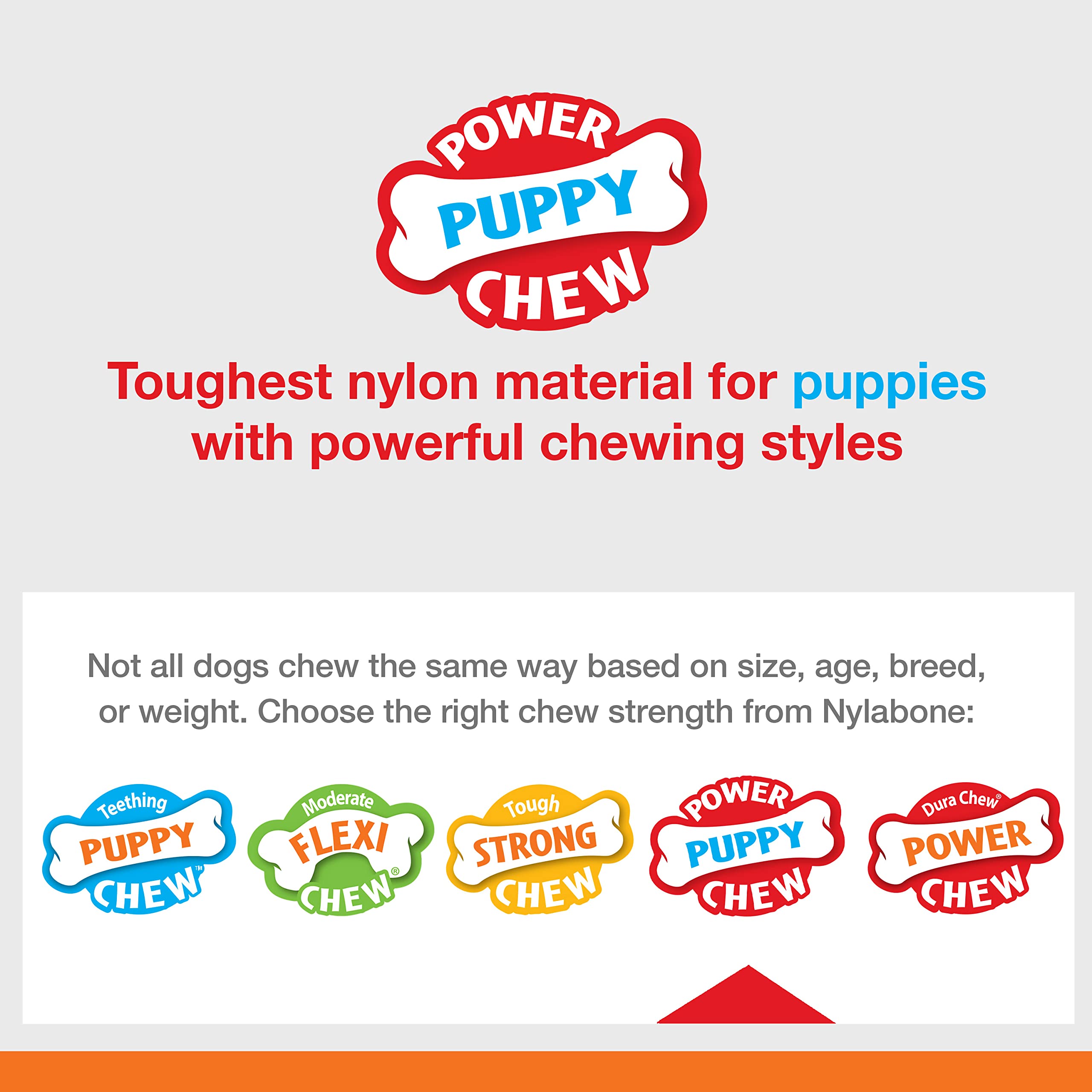 Nylabone Puppy Power Chew Knuckle Bone & Pop-In Puppy Treat Toy Combo Chicken Medium/Wolf (1 Count)
