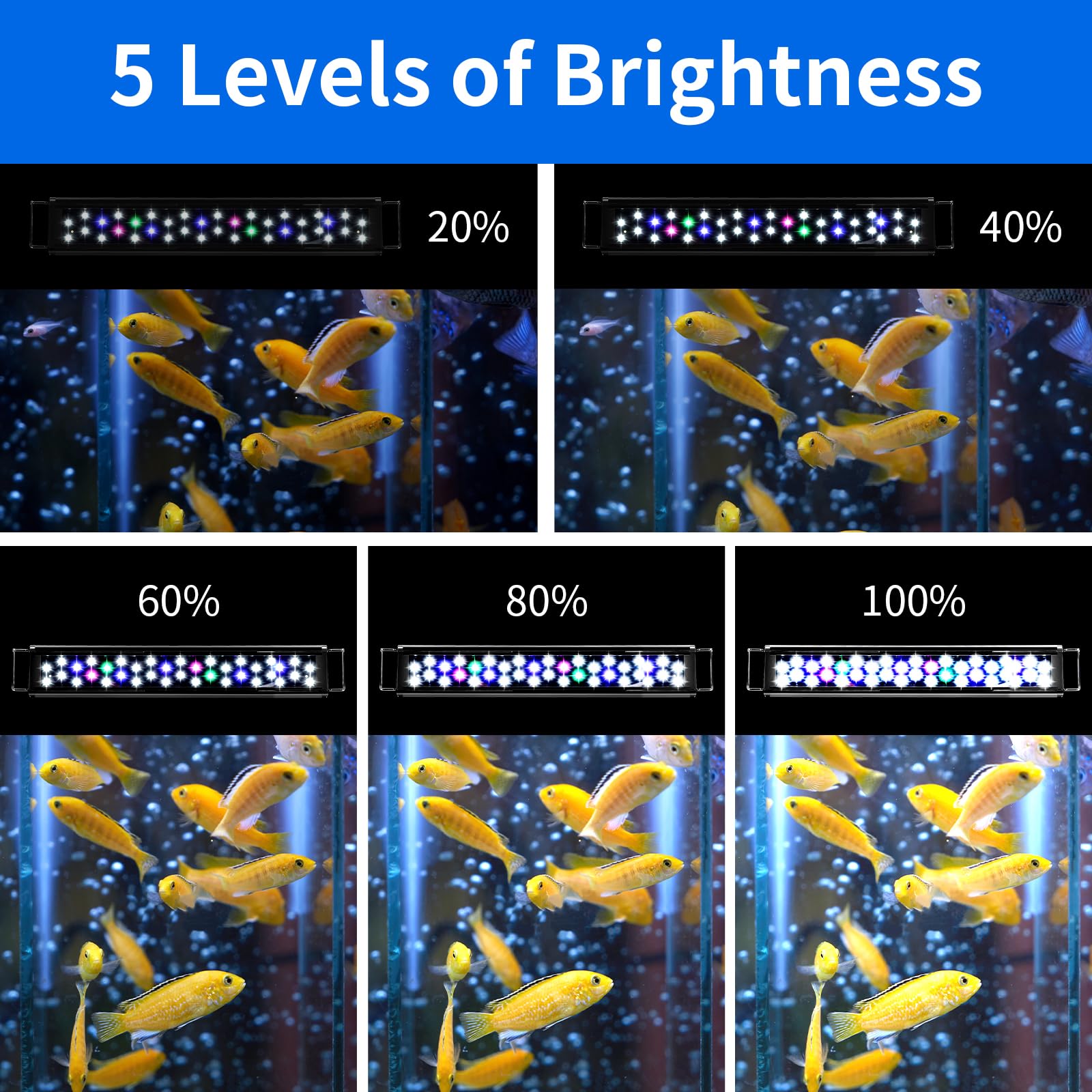AQUANEAT LED Aquarium Light, 36-44 Inch, Full Spectrum, Auto On/Off Timer, Adjustable Brightness, Black, Model TXF-303