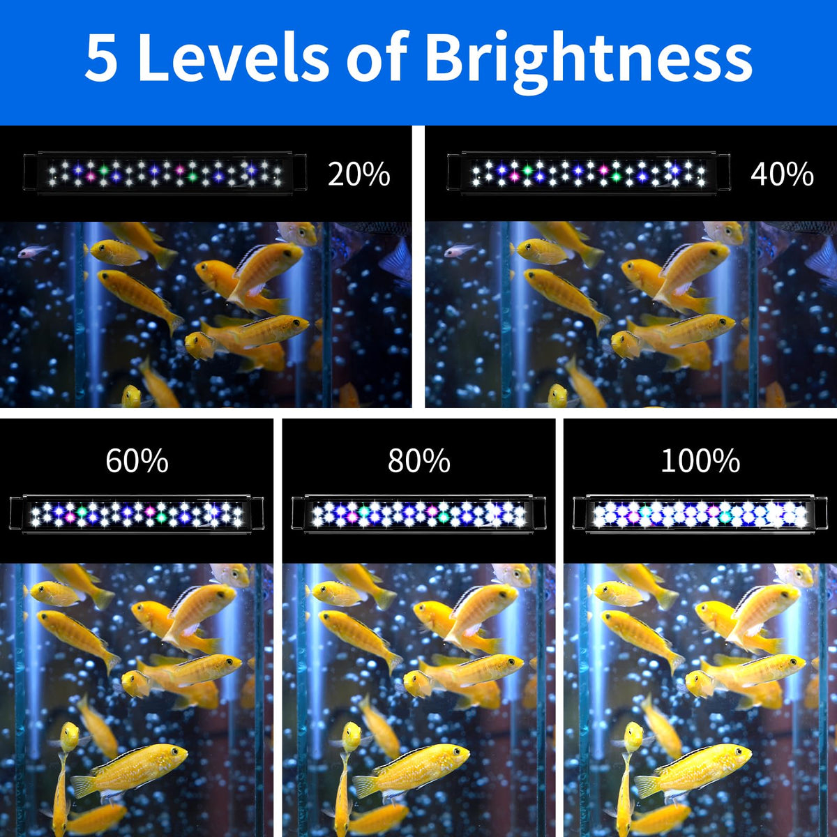 AQUANEAT LED Aquarium Light for 18 to 24 Inch Fish Tank, Auto On Off ...