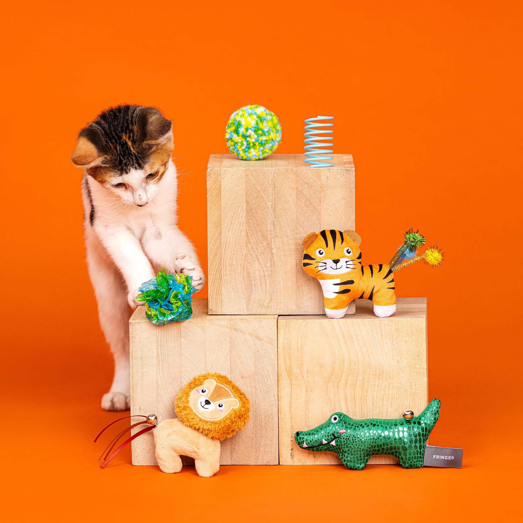 Fringe Studio Cat Toy Set - 6PCS Multipack, North American Catnip, Metallic Bungees, Color: That'S Just Grrrreat, Model: 610023