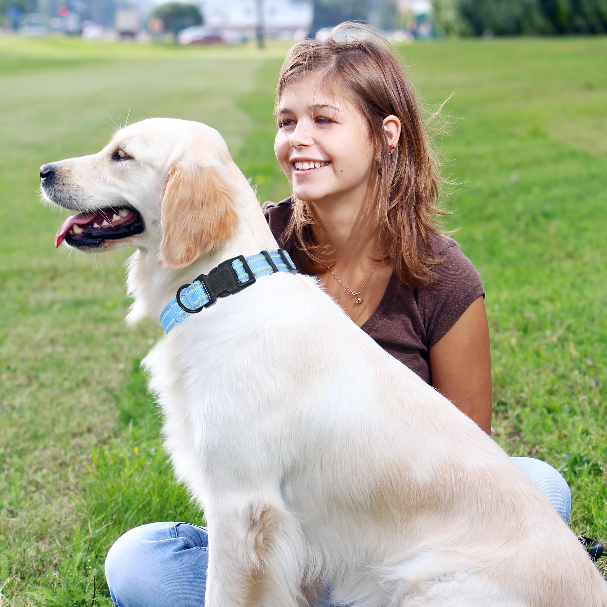 Mile High Life | Nylon Night Light Glow Collar For Medium Dogs | Reflective Band Cat Collar | Fluorescence Self-Luminescence Strap Puppy Collar | Safe Night Walk Collars For Dogs (Blue, M)