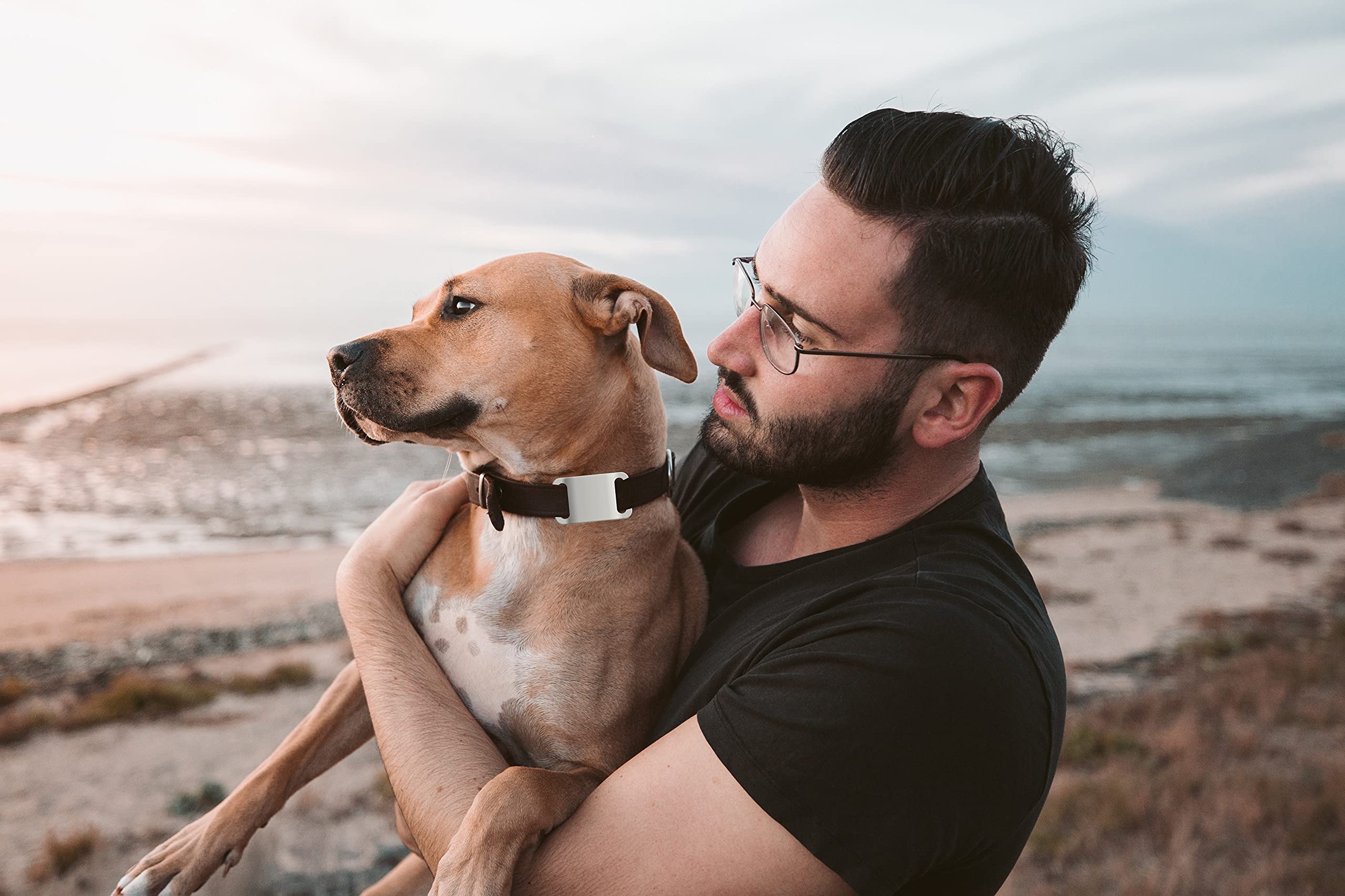 Ipx7 Waterproof Airtag Holder, Damonlight 2 Packs Airtag Dog Collar Holder Fit For Dog Cat Collar Pet Loop Air Tag Holder Accessories, Anti Scratch Silicone Case Lightweight Soft (Black)