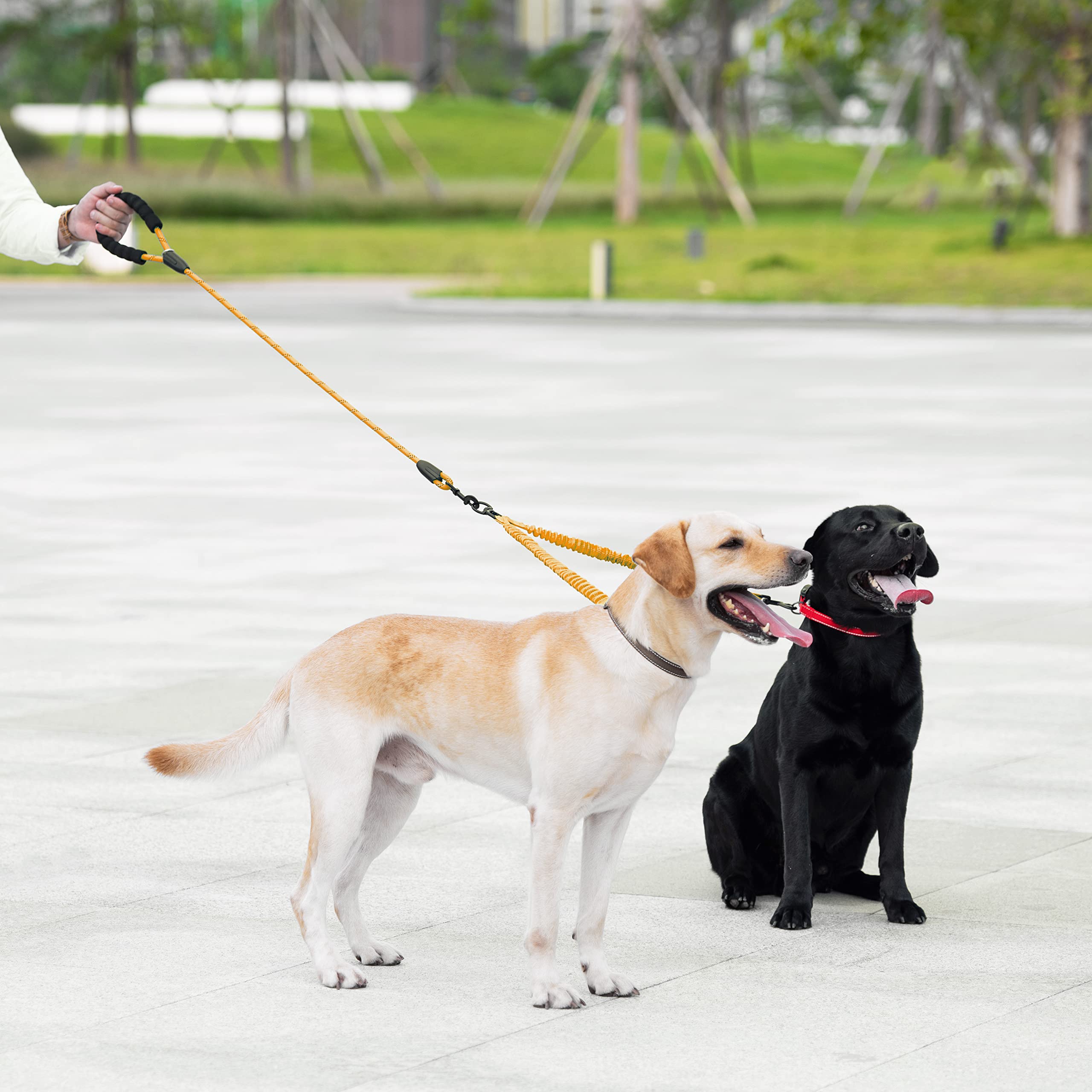 Iyoshop Dual Dog Leash, Double Dog Leash, 360 Swivel No Tangle Walking Leash, Shock Absorbing Bungee For Two Dogs, Orange, Large (25-150 Lbs)