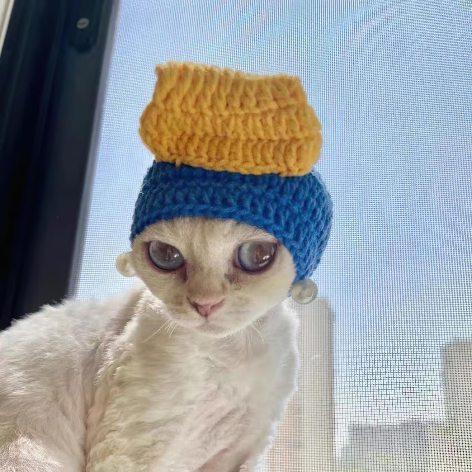 Howwfaly Cat Apparel Cat Hats Headgear Styling Cute Funny Pet Costume Accessories Decoration For Halloween, Christmas, Parties (