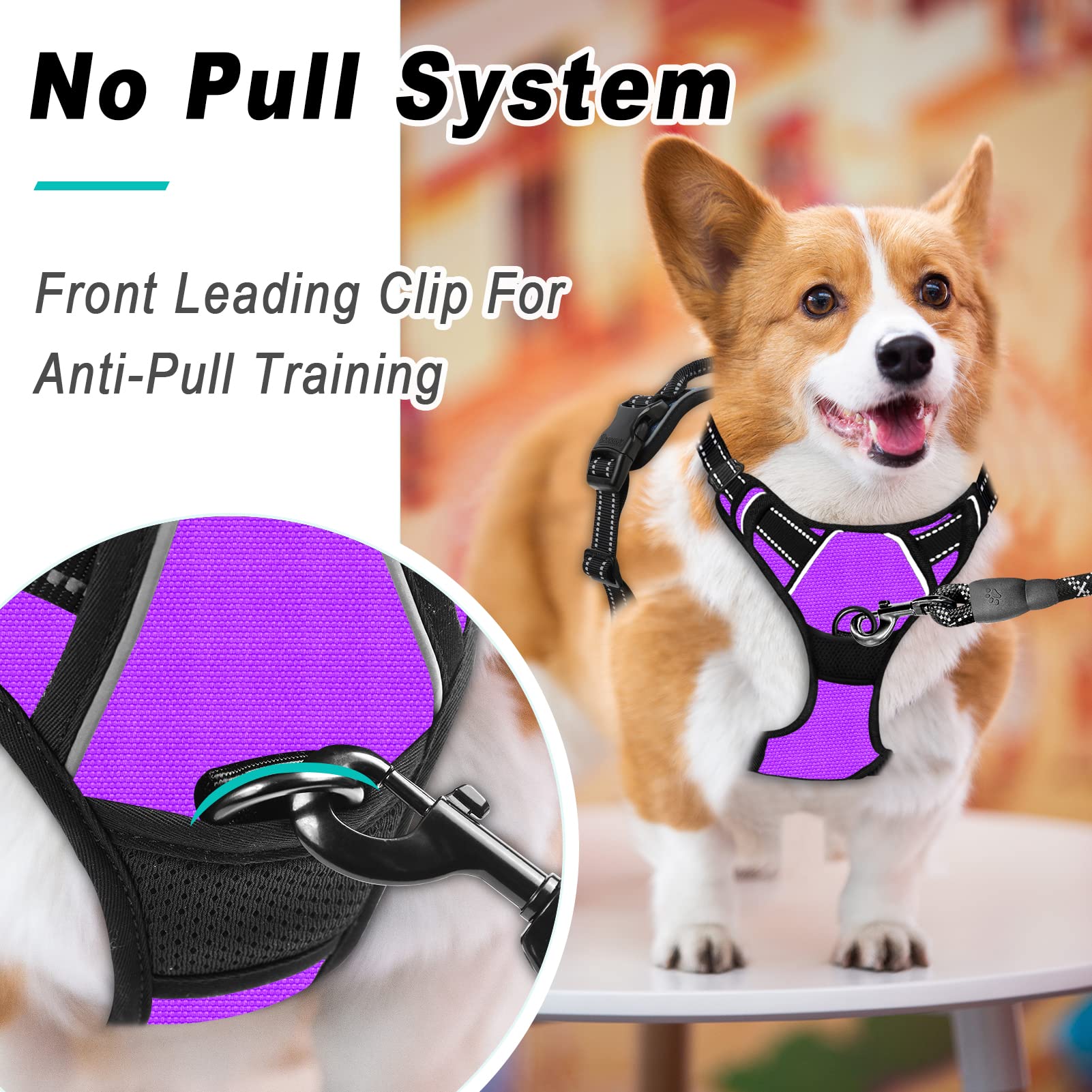 Barkbay No Pull Dog Harness Large Step In Reflective Dog Harness With Front Clip And Easy Control Handle For Walking Training Running(Purple,M)