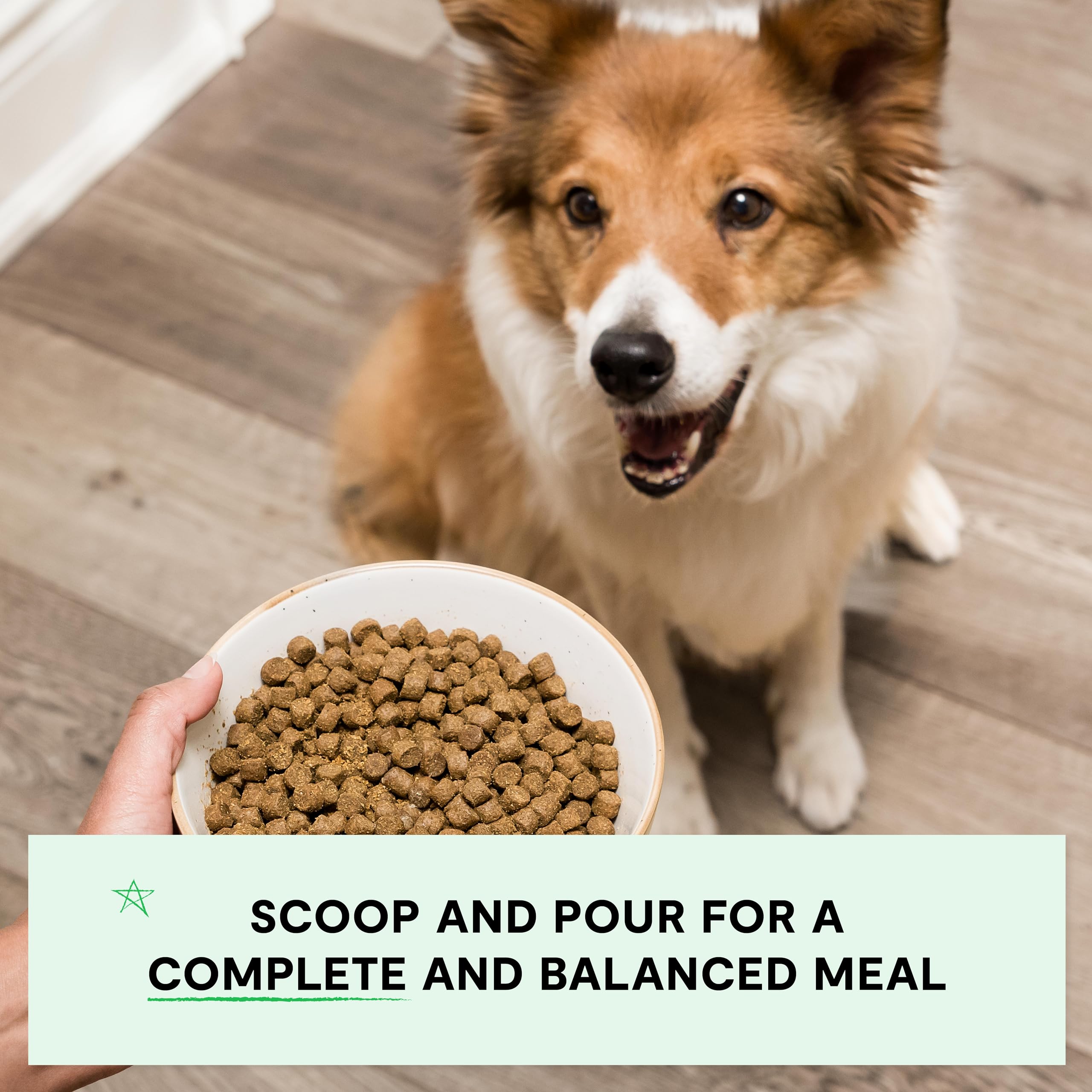 Open Farm Grain-Free Dry Dog Food with Ethically Sourced Ingredients, Non-GMO Veggies & Superfoods to Support Overall Health, Ho