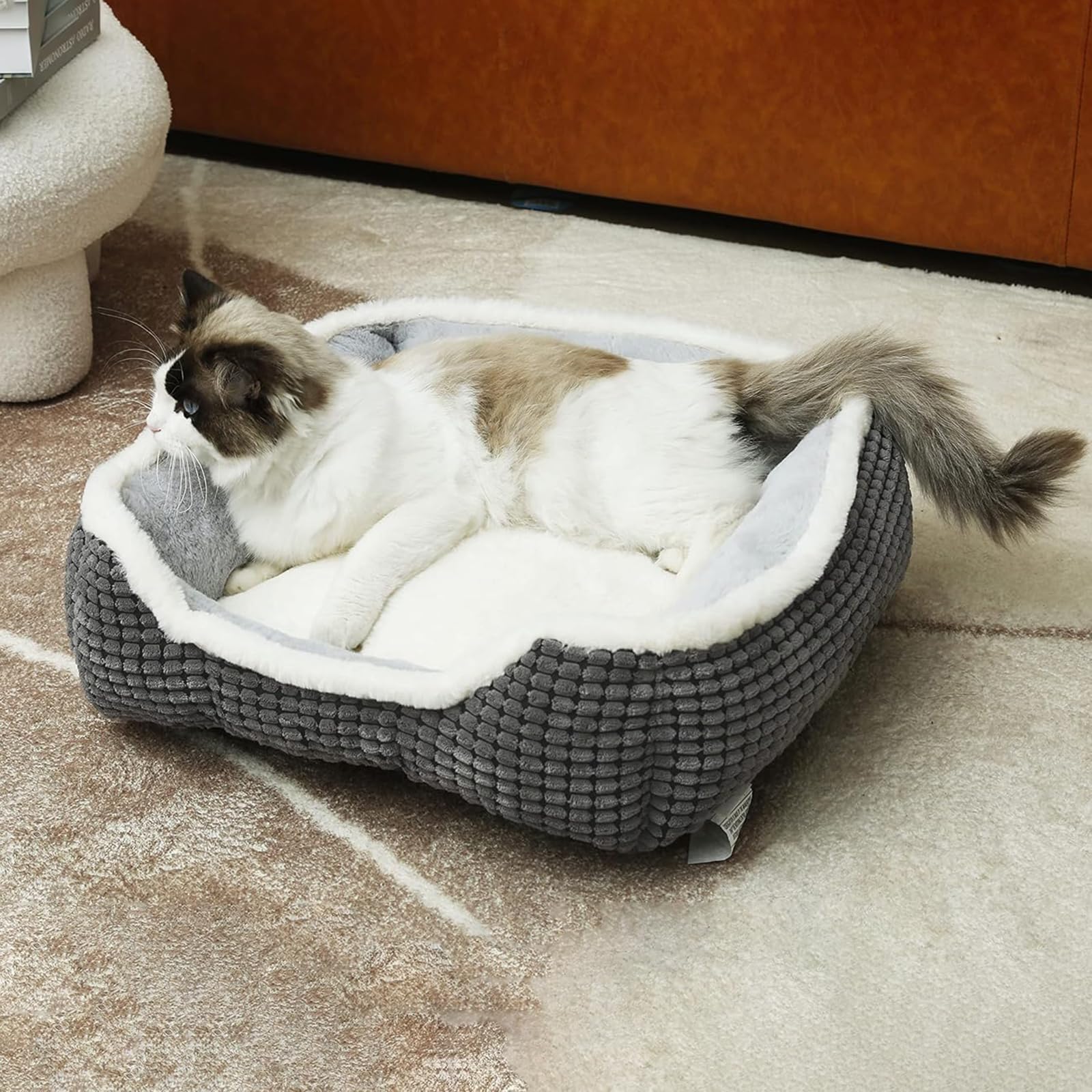 Dog Bed For Medium Dogs,Cute Cat Bed For Indoor Cats,Washabel Super Soft Durable Kitten Bed And Puppy Bed, Anti-Slip & Water-Res