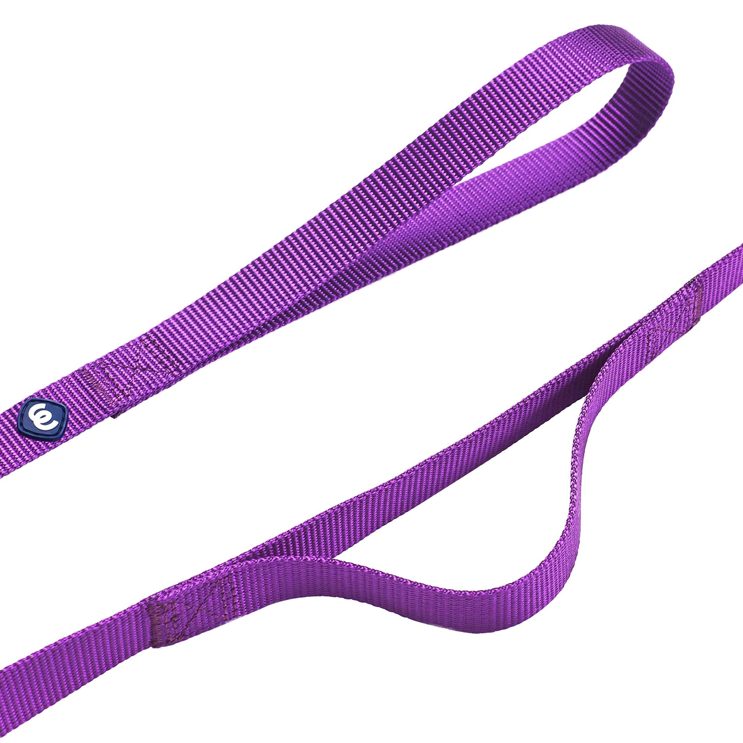 Blueberry Pet Essentials Durable Classic Dog Leash 5 Ft X 3/8', Dark Orchid, X-Small, Double Handle Leashes For Puppies