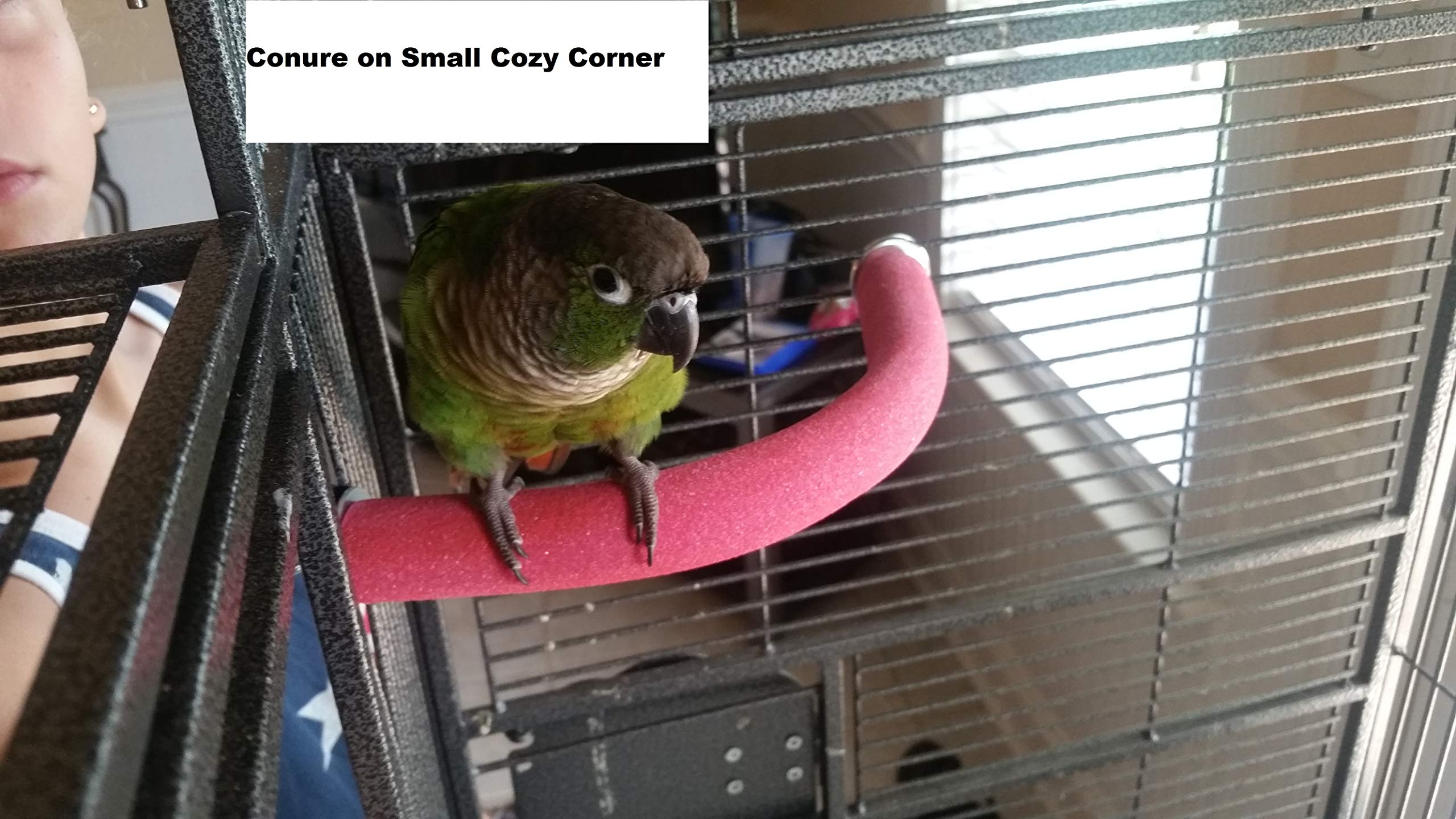 Polly'S Cozy Corner Bird Perch, Medium