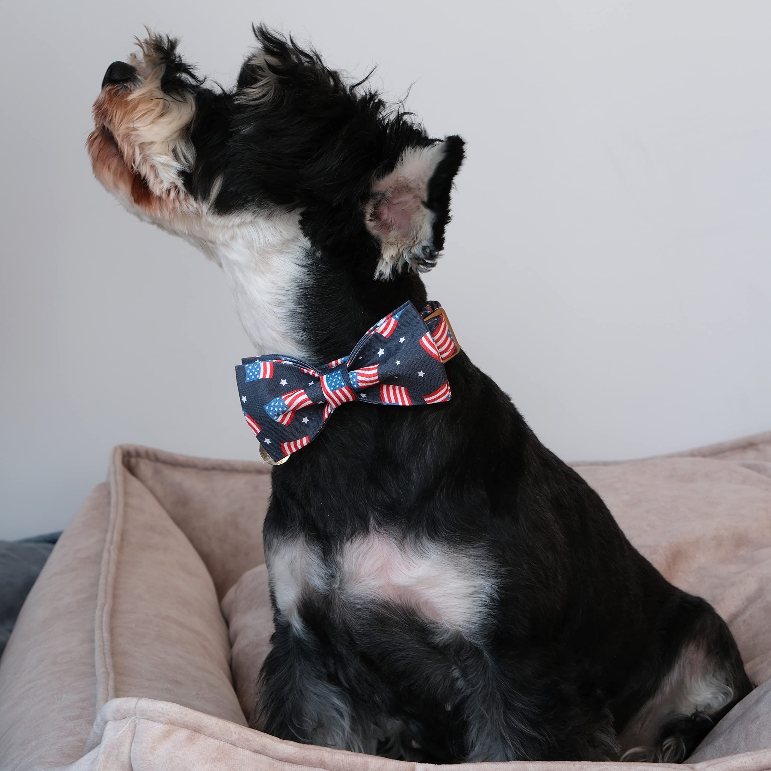 Up Urara Pup American Flag Dog Collar With Bow Tie, 4Th Of July Comfortable Cotton Cute Dog Collar With Metal Buckle, Patriotic