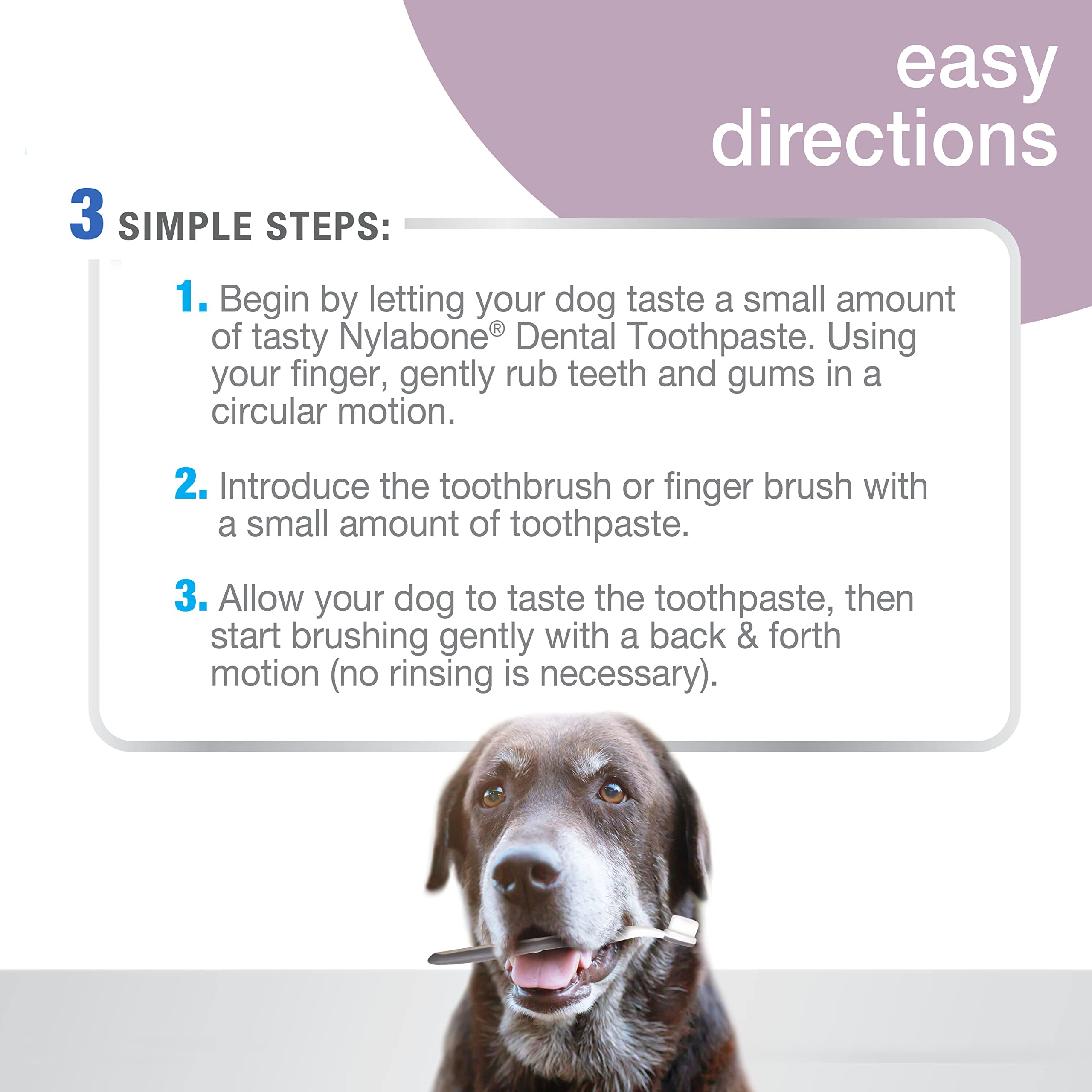 Nylabone Advanced Oral Care Senior Dog Dental Kit with Cushiony Soft-Bristle Toothbrush Senior 3 Count