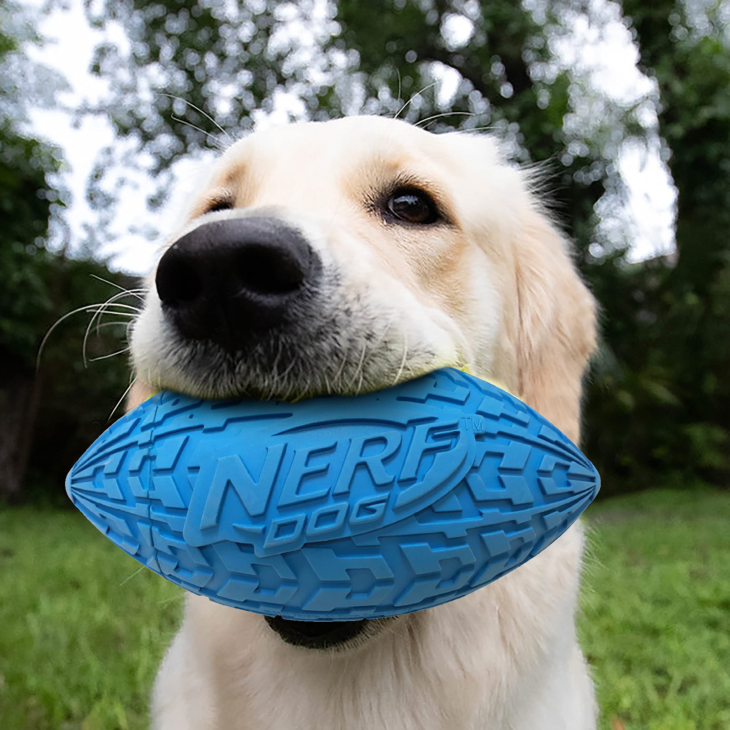 Nerf Dog Tire Football Dog Toy With Interactive Squeaker, Lightweight, Durable And Water Resistant, 6 Inch Diameter For Medium/Large Breeds, Single Unit, Blue (1571)