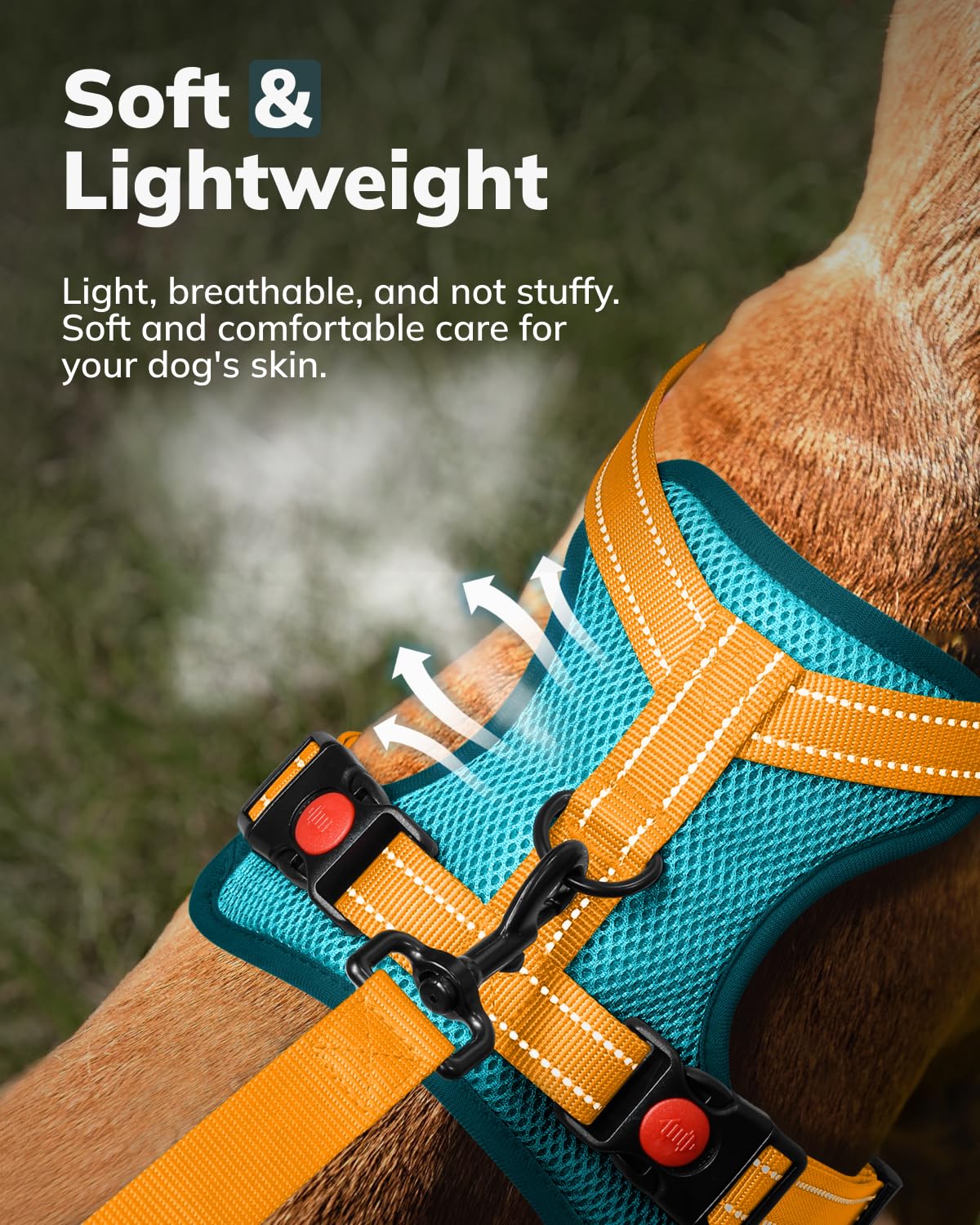 MIDOG Dog Harness, No-Pull Pet Harness and Leash Set for Small Medium Large Dogs Walking, No Choke Front Clip Dog Reflective Har