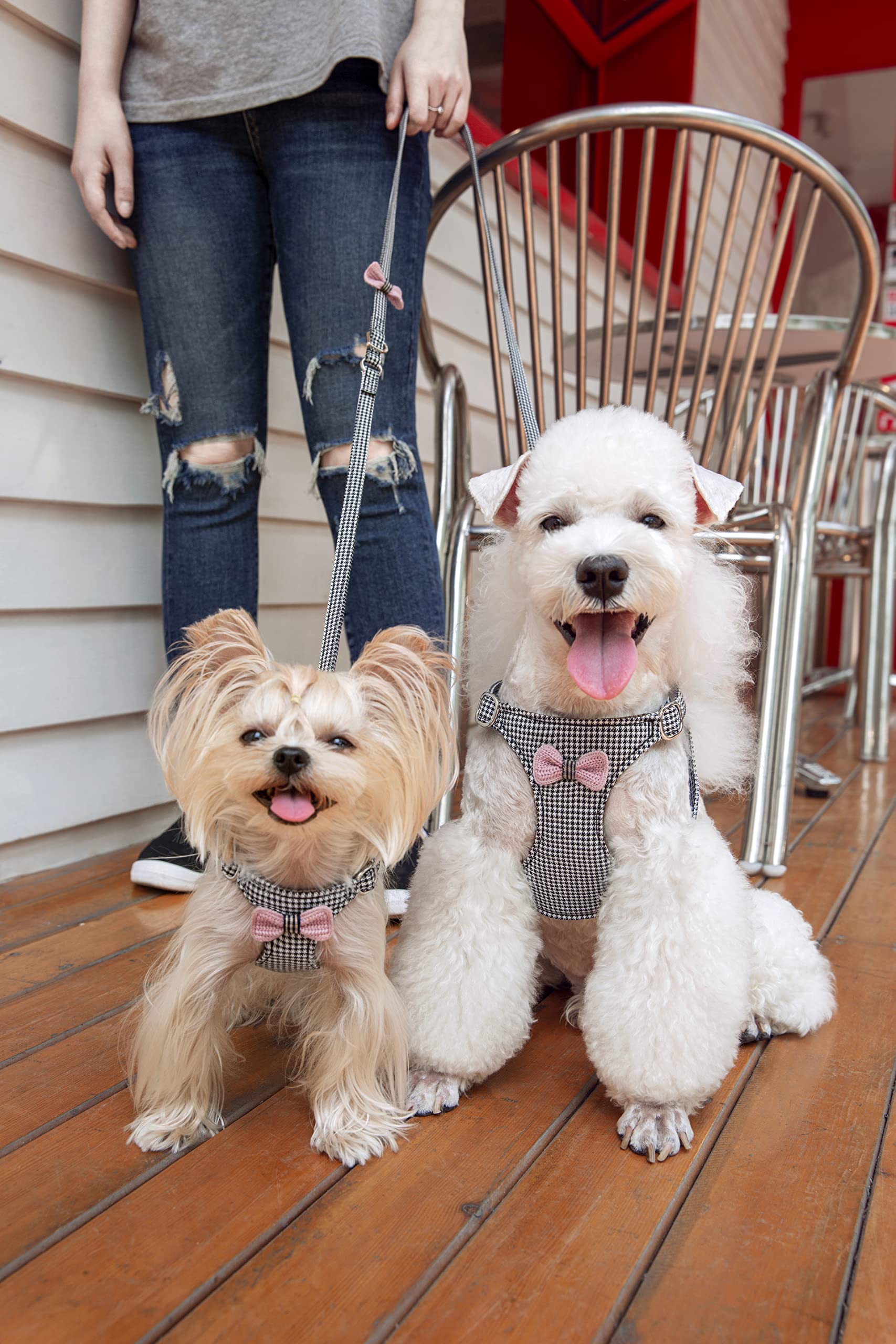 Puppytie No Pull Xs Dog Harness With Multifunction Dog Leash,Soft Adjustable No Choke Escape Proof Pet Harness Vest,Knitted Blac