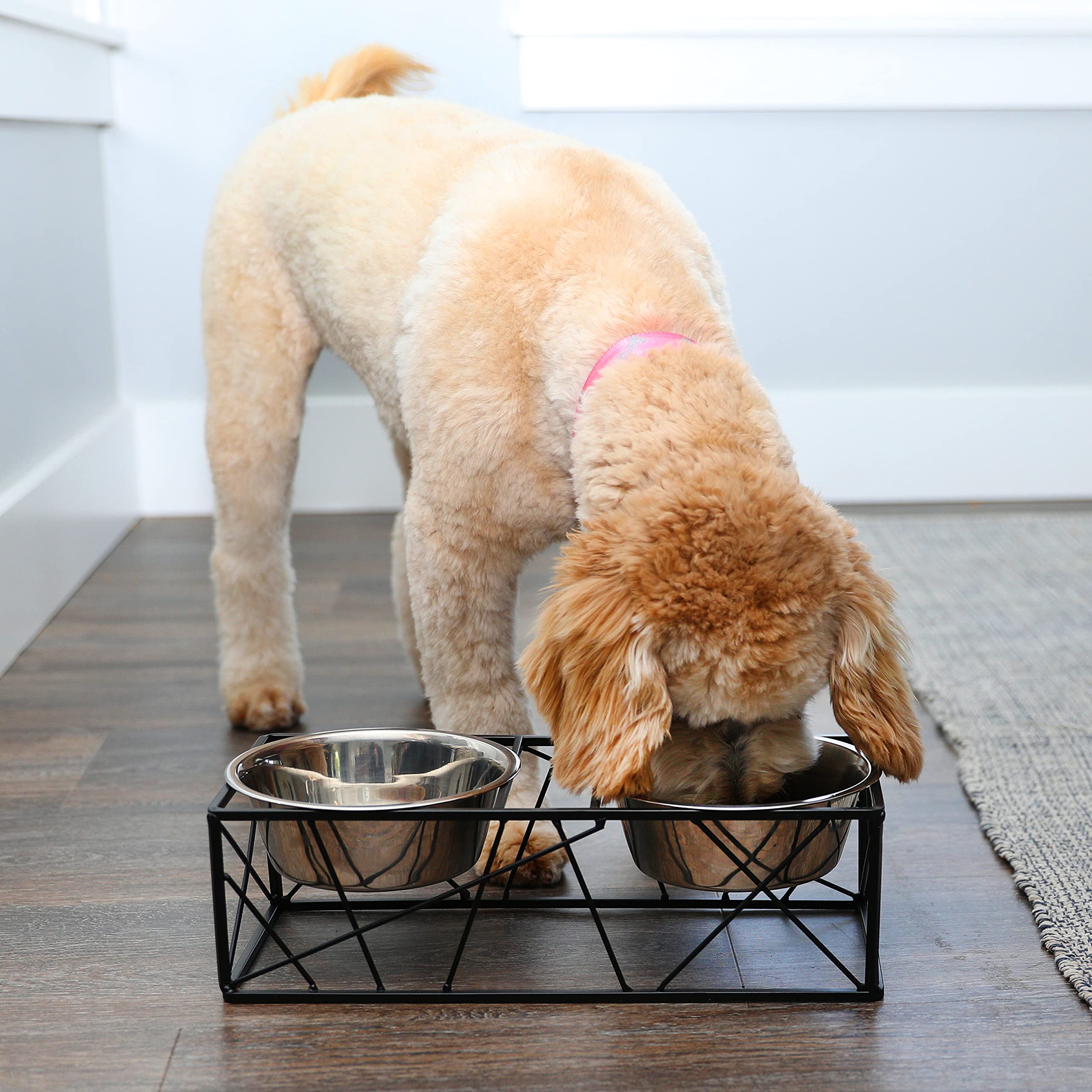 Barkley & Evans Elevated Double Pet Feeder, Removable Stainless Steel Bowls On Metal Stand, Raised Feeding Station For Pets, Dog