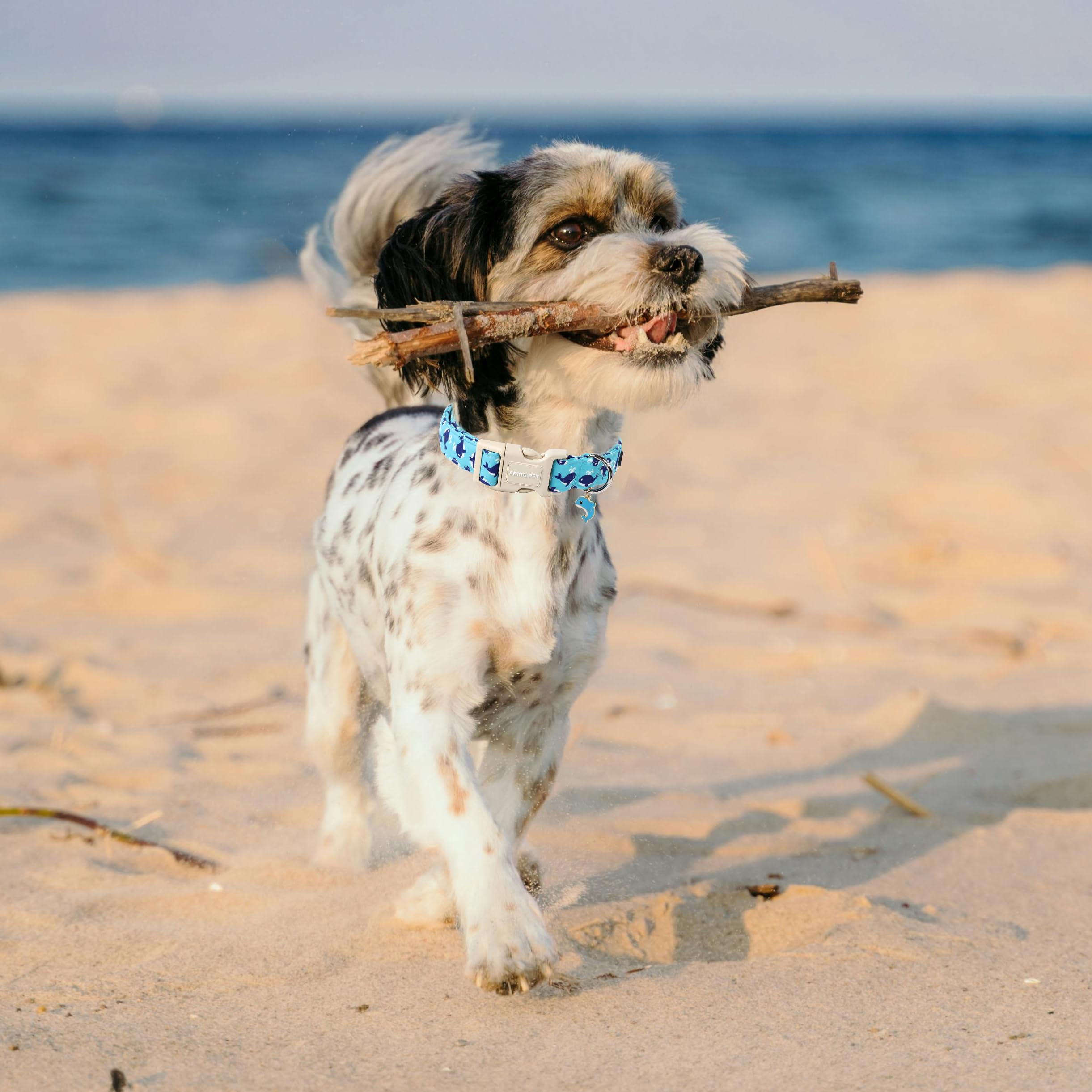 Aring Pet Summer Dog Collar-Cute Blue Dog Collar For Small Dogs, Adjustable Cotton Whales Pet Collars Puppy Collar For Small Med