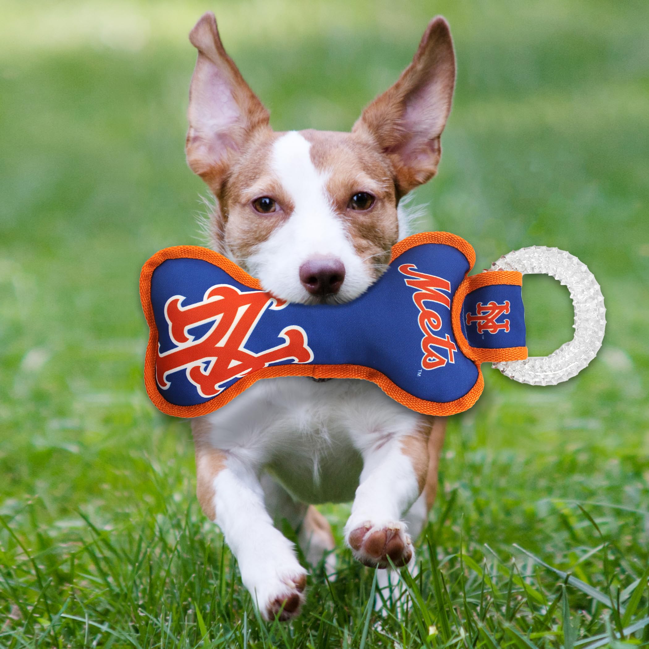 Mlb New York Mets Bone Shaped Dental Dog Tug Toy With Squeaker. Tough Pet Toy For Healthy Fun, Teething, And Cleaning Pet'S Teet